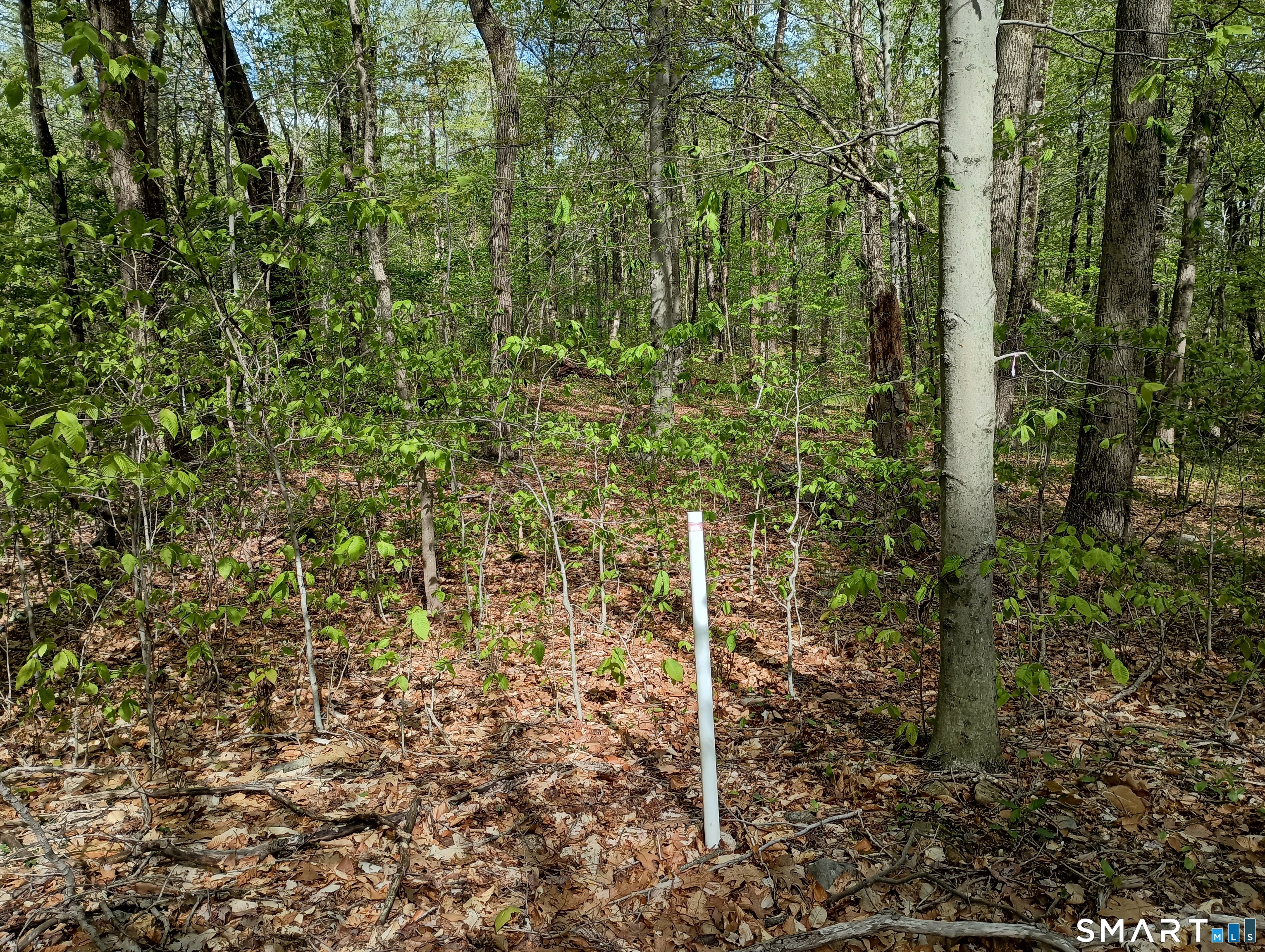 2581 Litchfield Road Property Photo 25