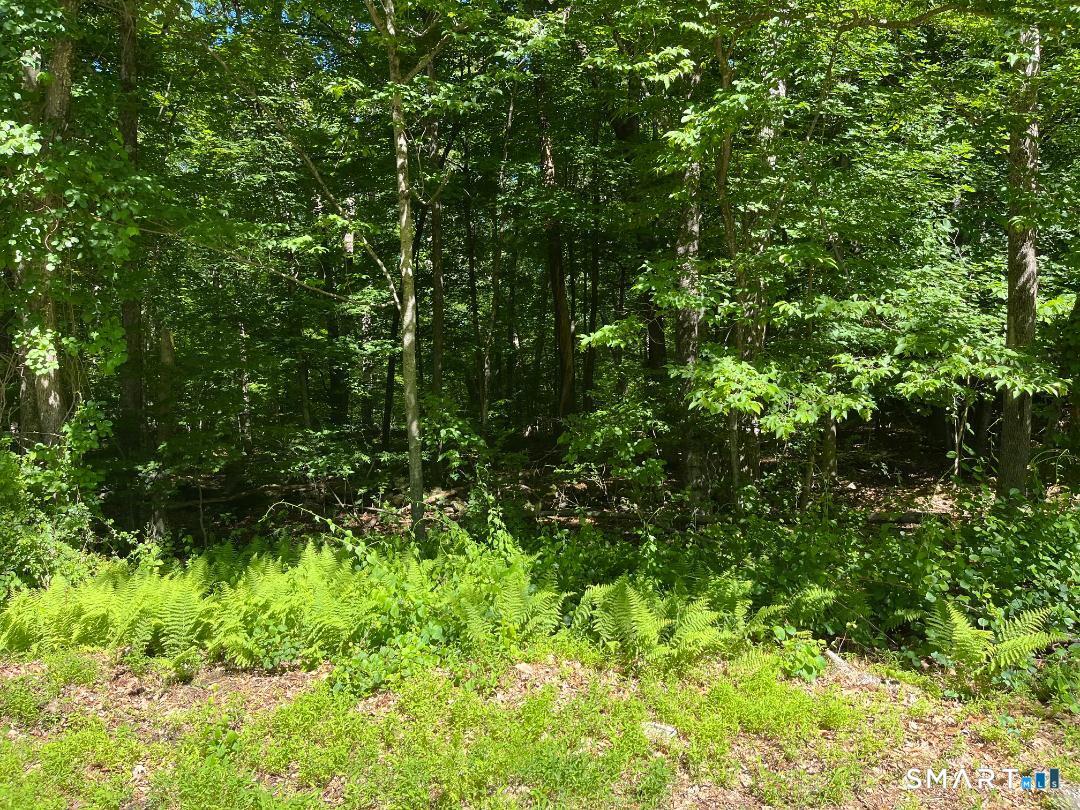 Middle Lot 24 Turnpike Property Photo 1