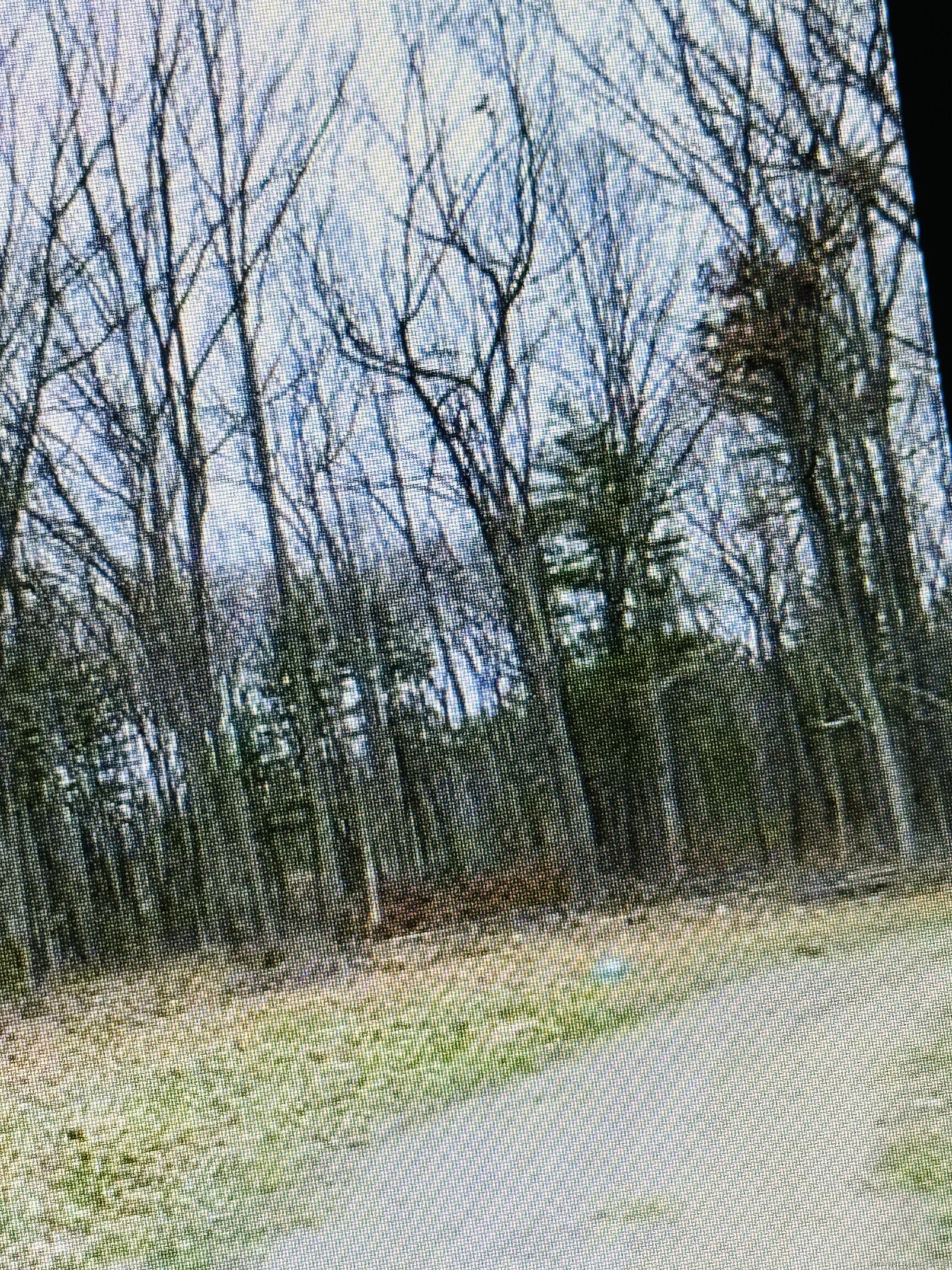 25 Matthew Lane Property Photo 1
