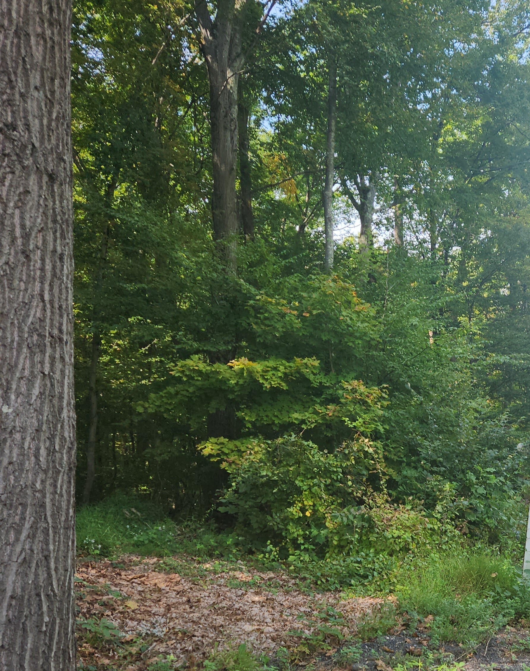 Lot 13 Waterbury Road Property Photo 1