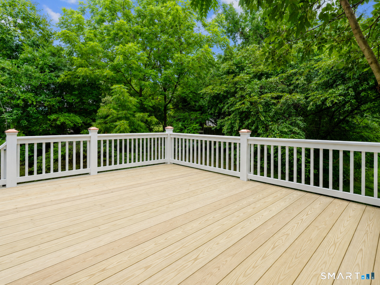 56 Evergreen Avenue Property Photo 24
