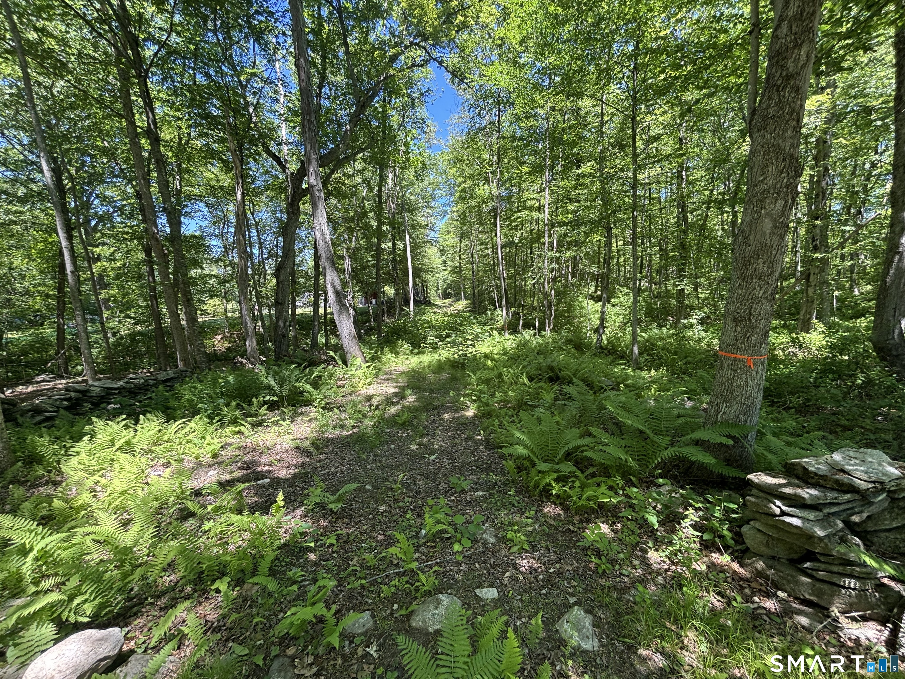 295 Providence Turnpike Property Photo 2