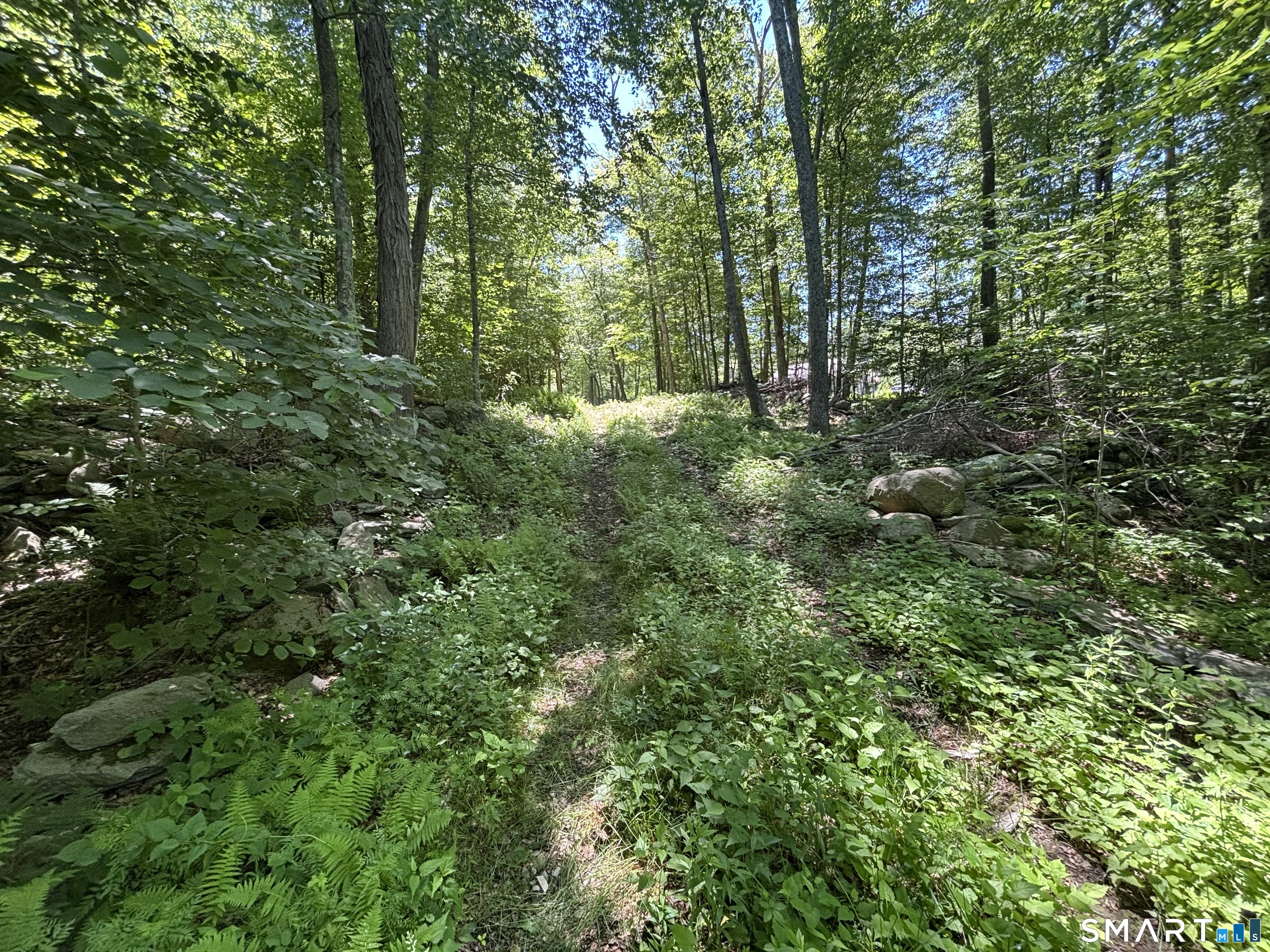 295 Providence Turnpike Property Photo 3