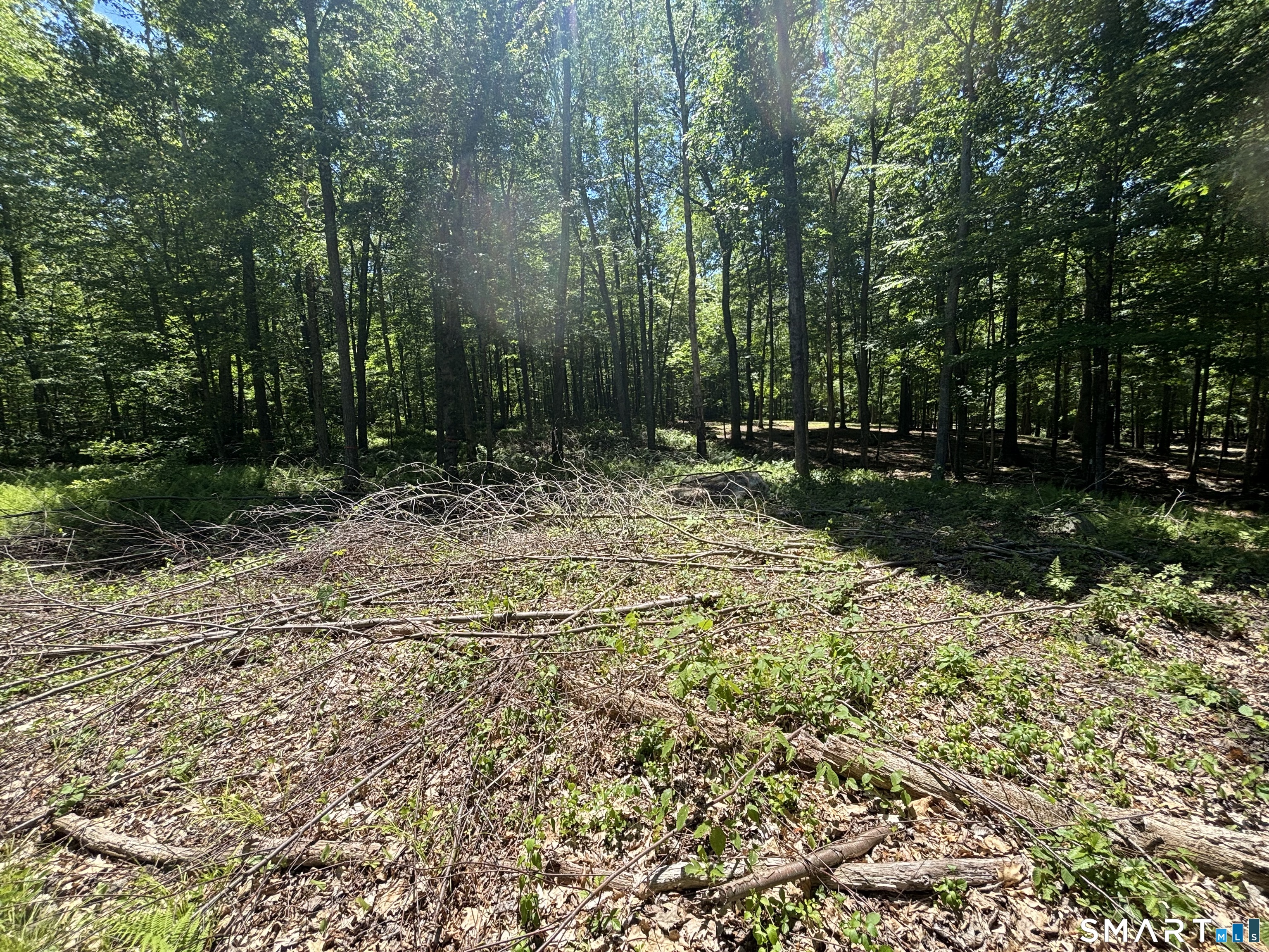 295 Providence Turnpike Property Photo 4