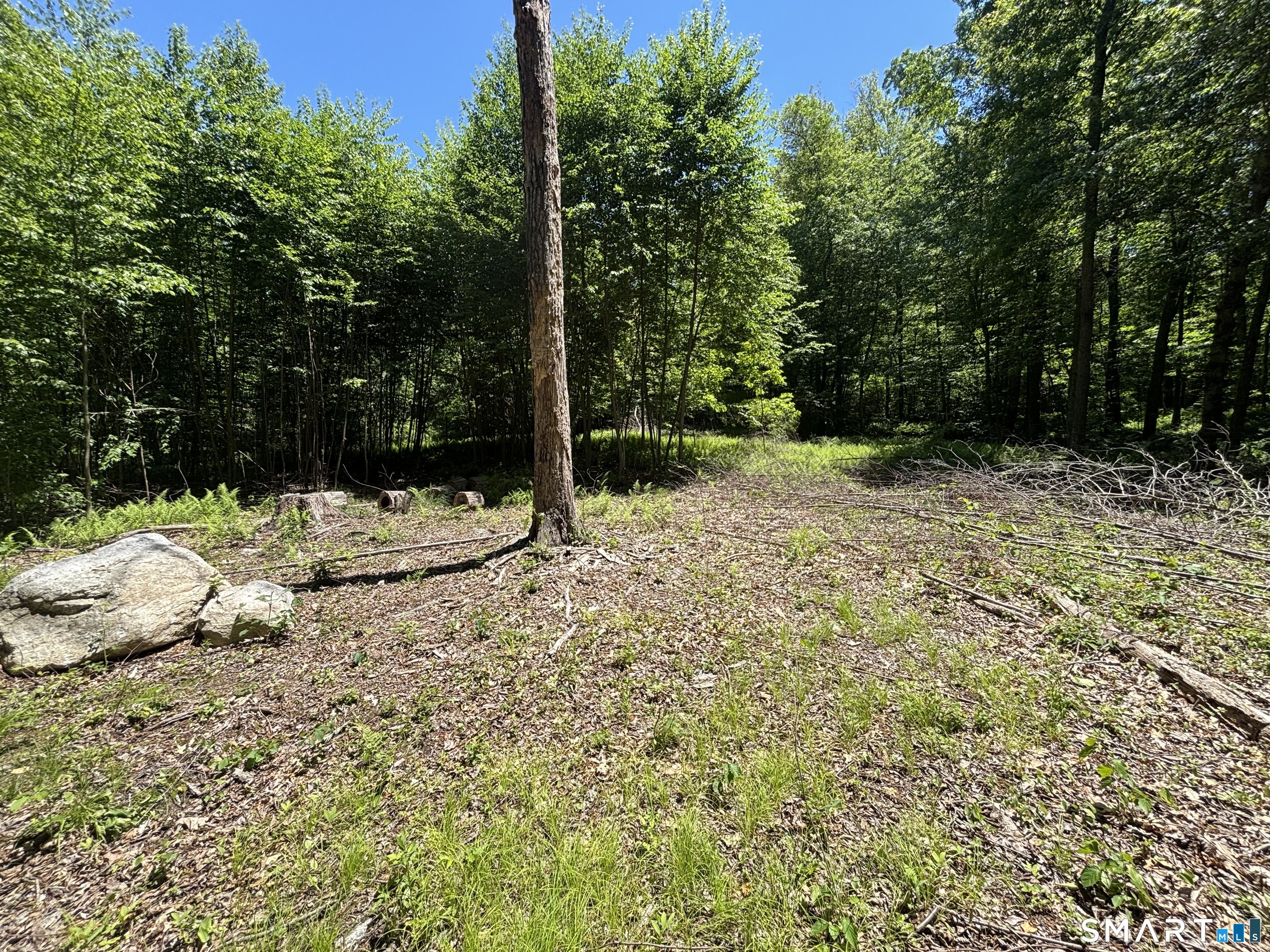 295 Providence Turnpike Property Photo 5