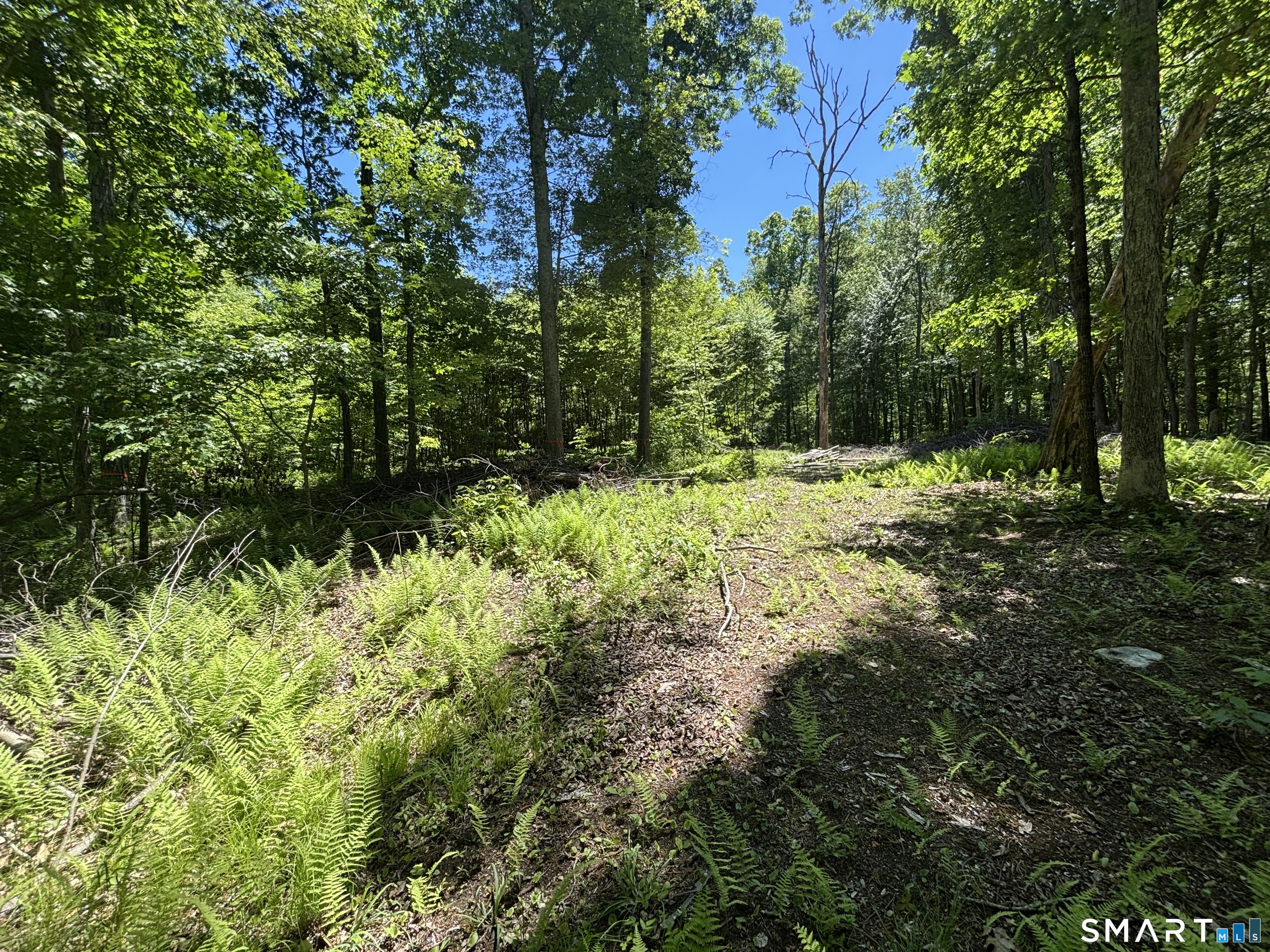 295 Providence Turnpike Property Photo 6