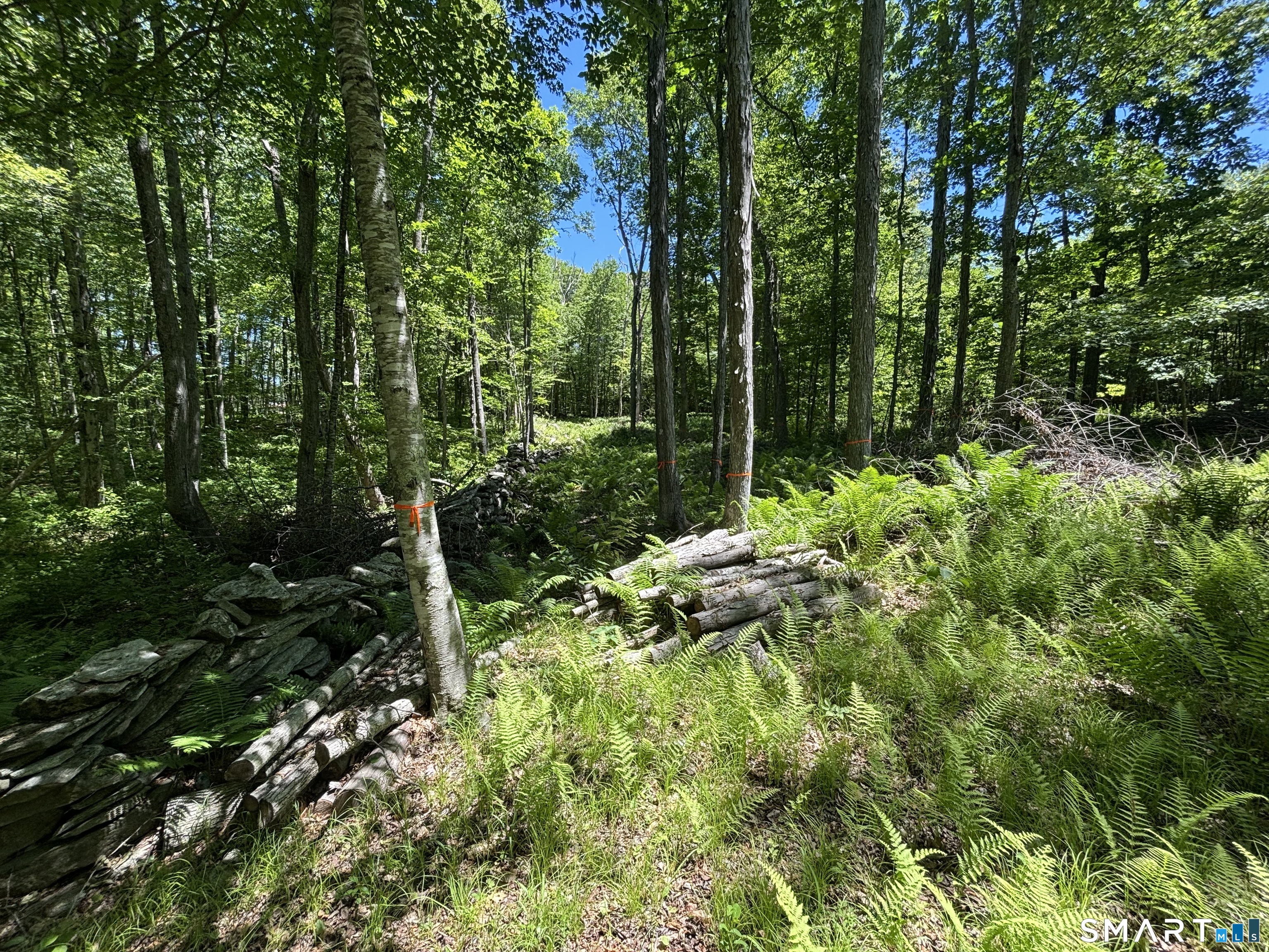 295 Providence Turnpike Property Photo 7