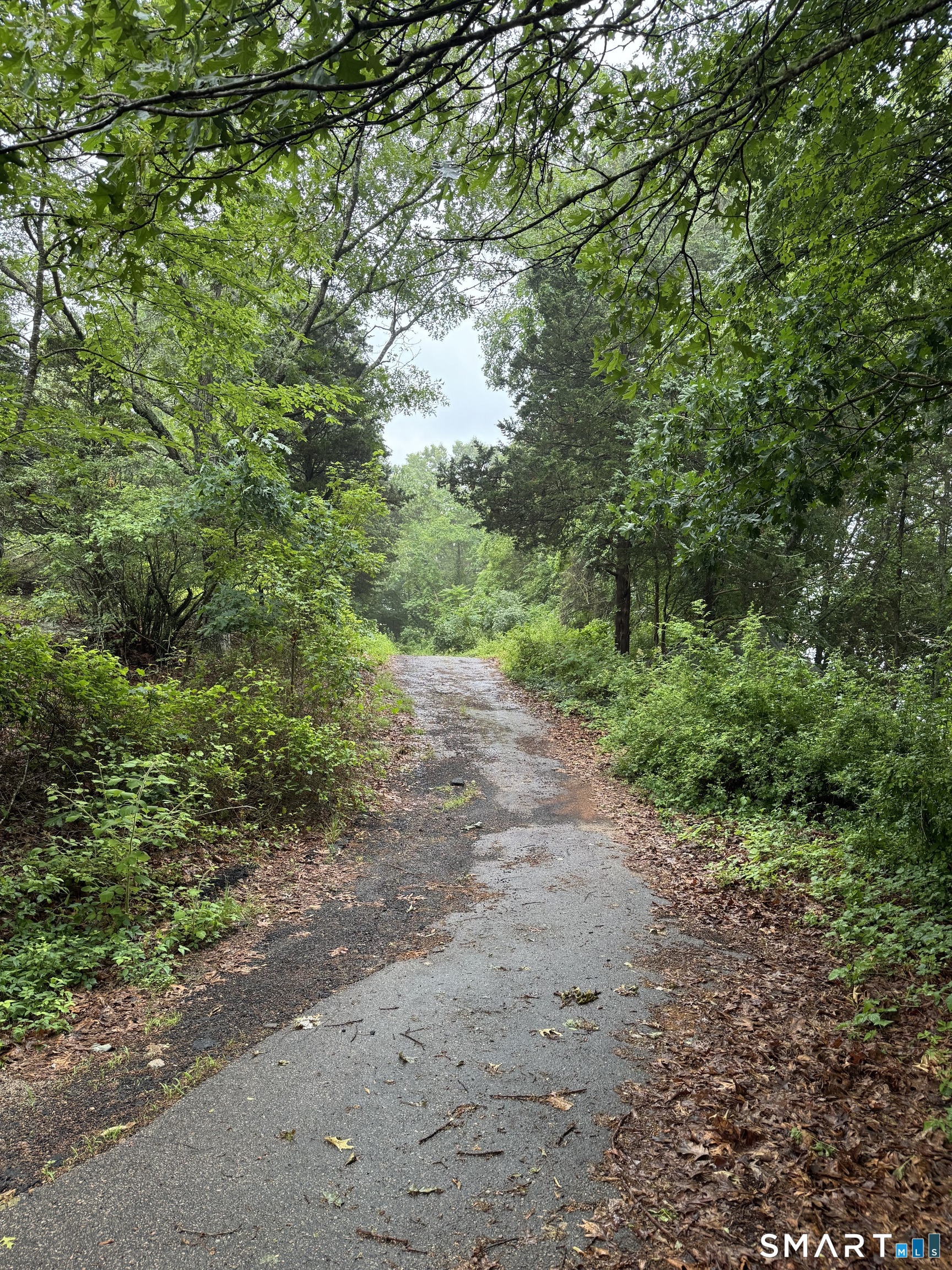 811 Stonington Road Property Photo 4