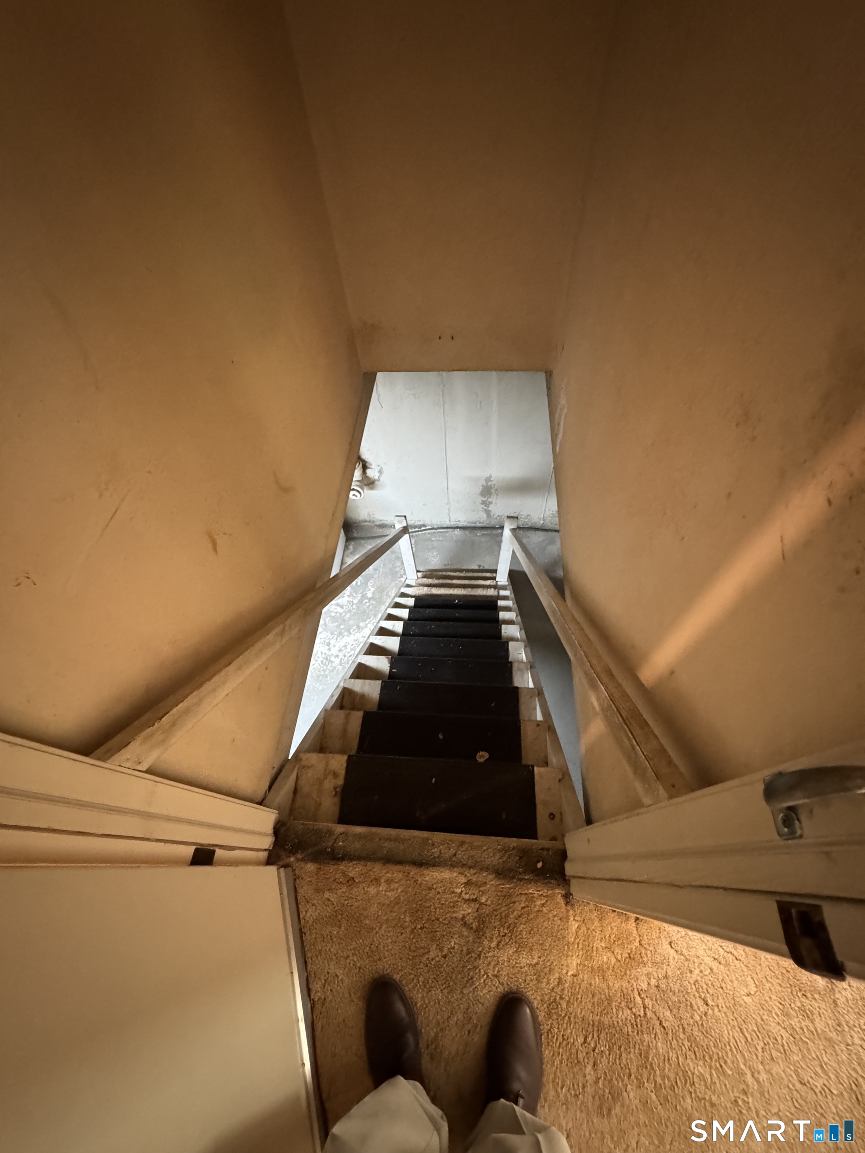 513 Essex Road Property Photo 24