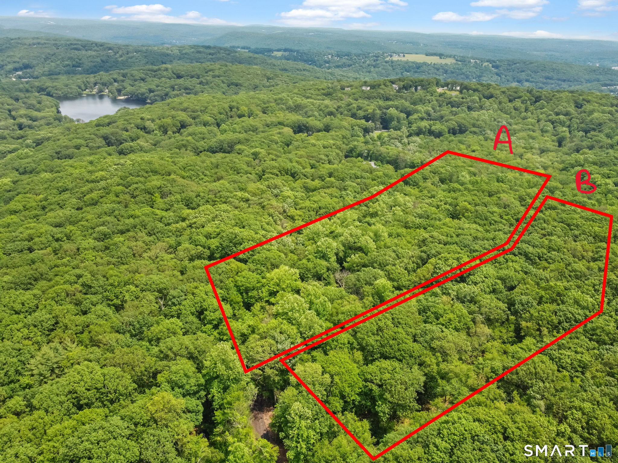 Parcel B Old Moose Hill Road Property Photo 2