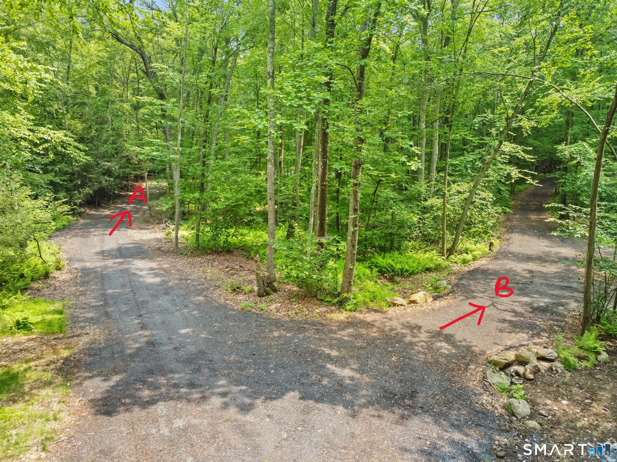 Parcel B Old Moose Hill Road Property Photo 4