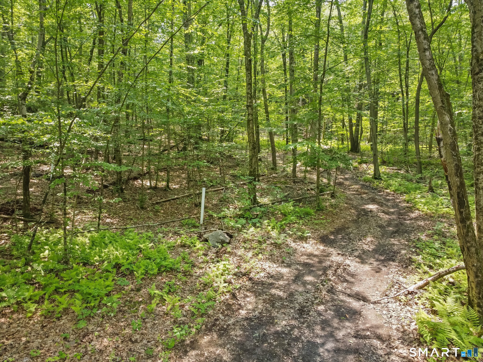 Parcel B Old Moose Hill Road Property Photo 5