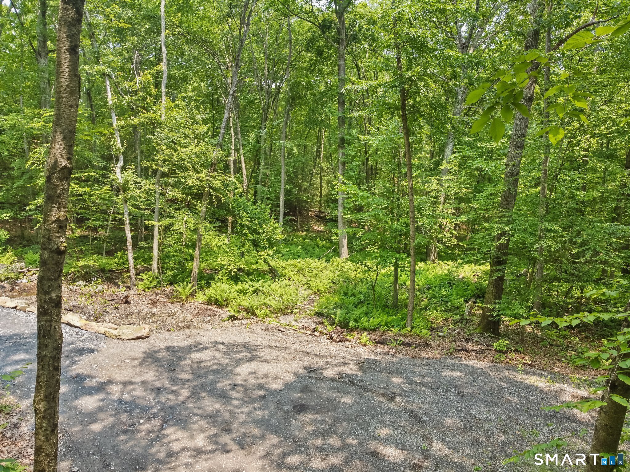 Parcel B Old Moose Hill Road Property Photo 6