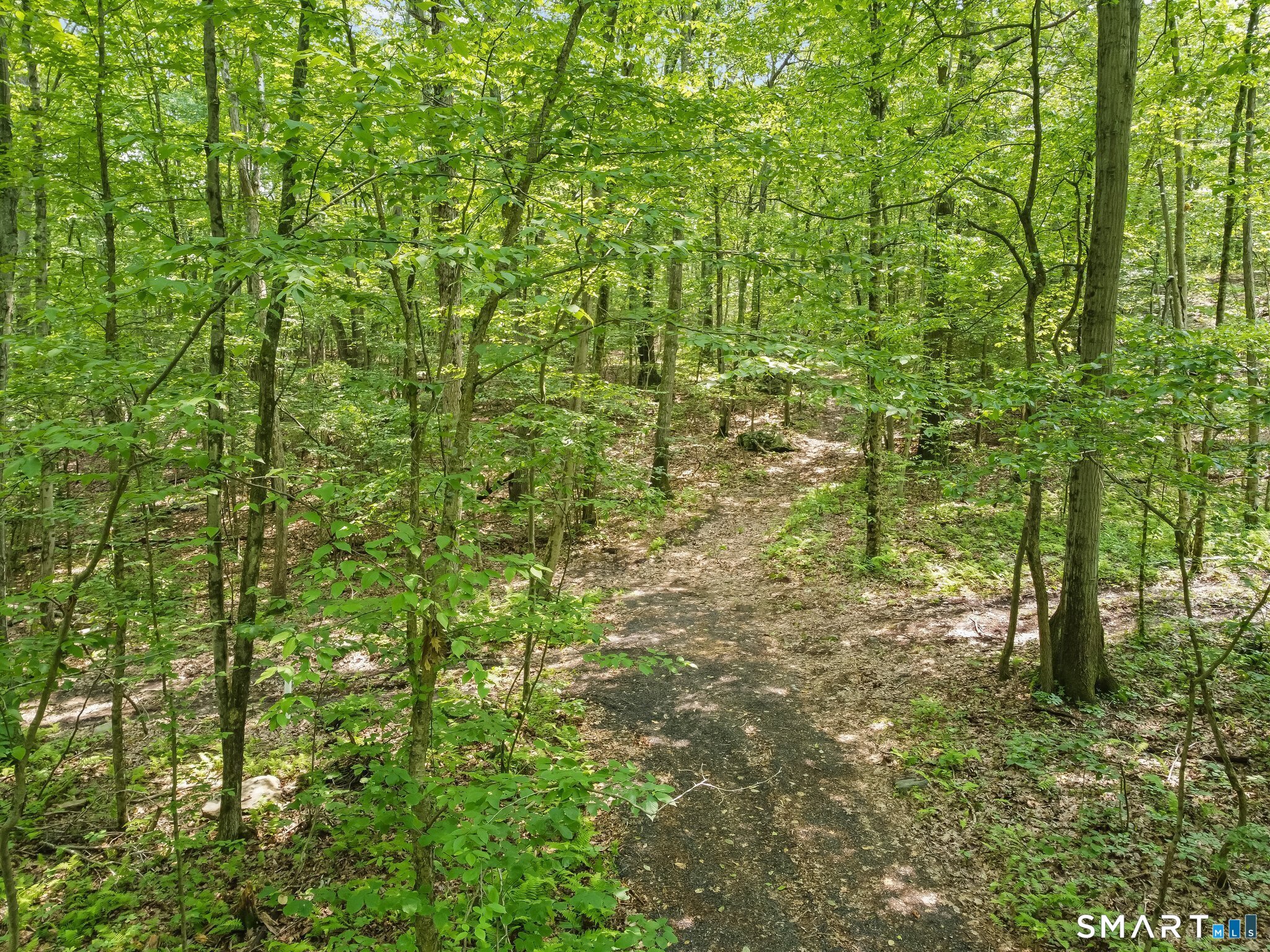 Parcel B Old Moose Hill Road Property Photo 11