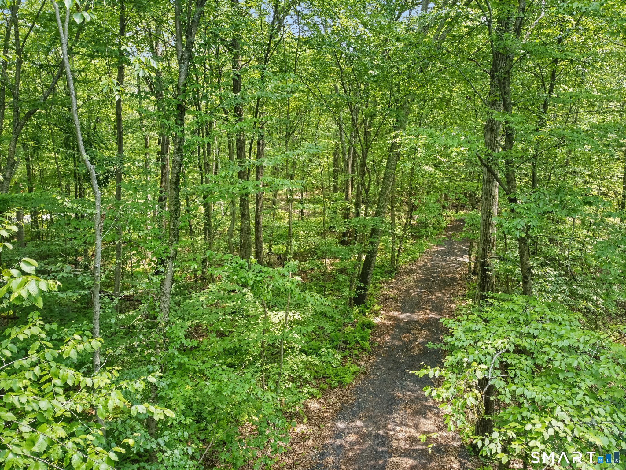 Parcel B Old Moose Hill Road Property Photo 12