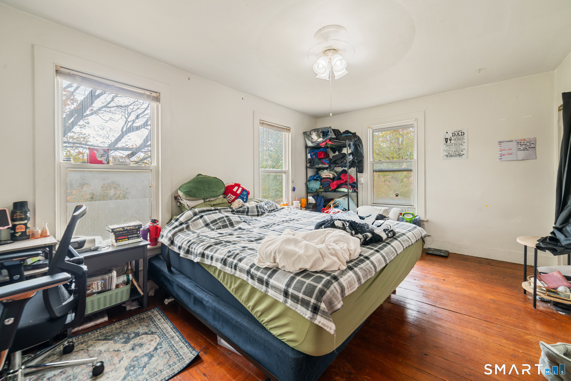 87 Woodruff Avenue Property Photo 23