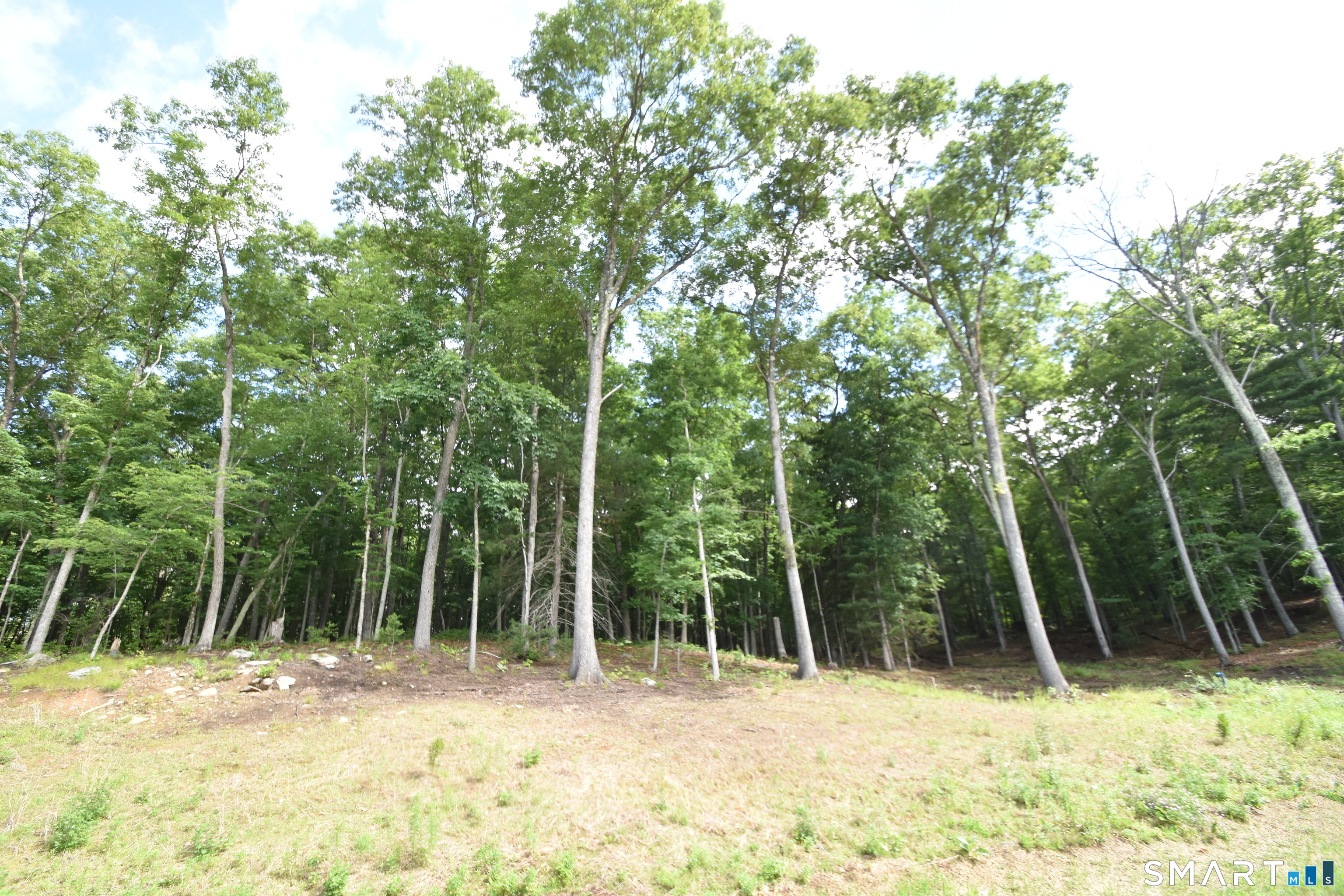 166 Boston D Turnpike Property Photo 14