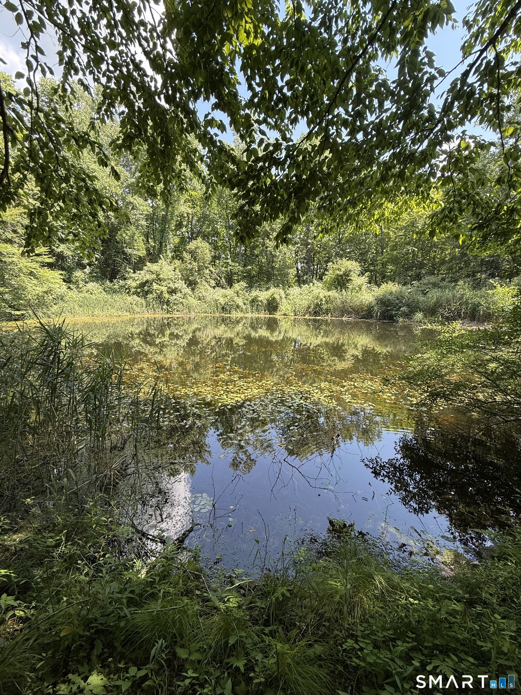Bullymuck Road Property Photo 13