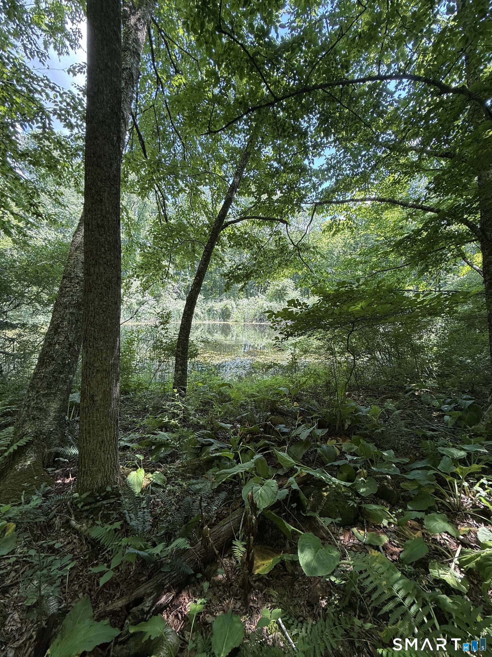 Bullymuck Road Property Photo 14