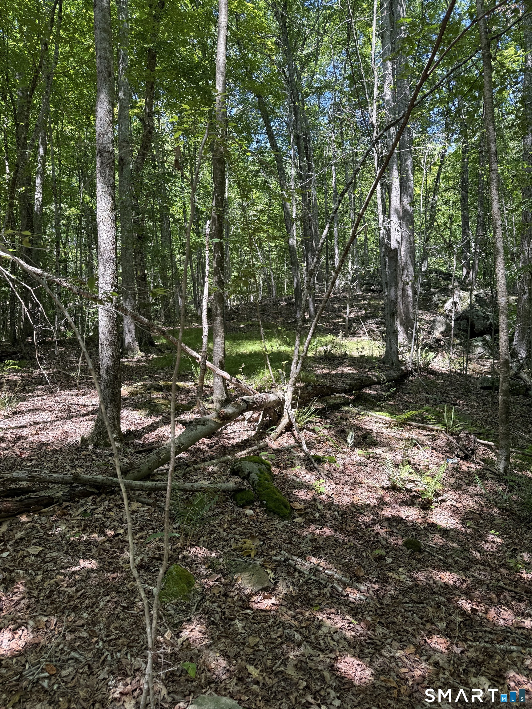 Bullymuck Road Property Photo 15