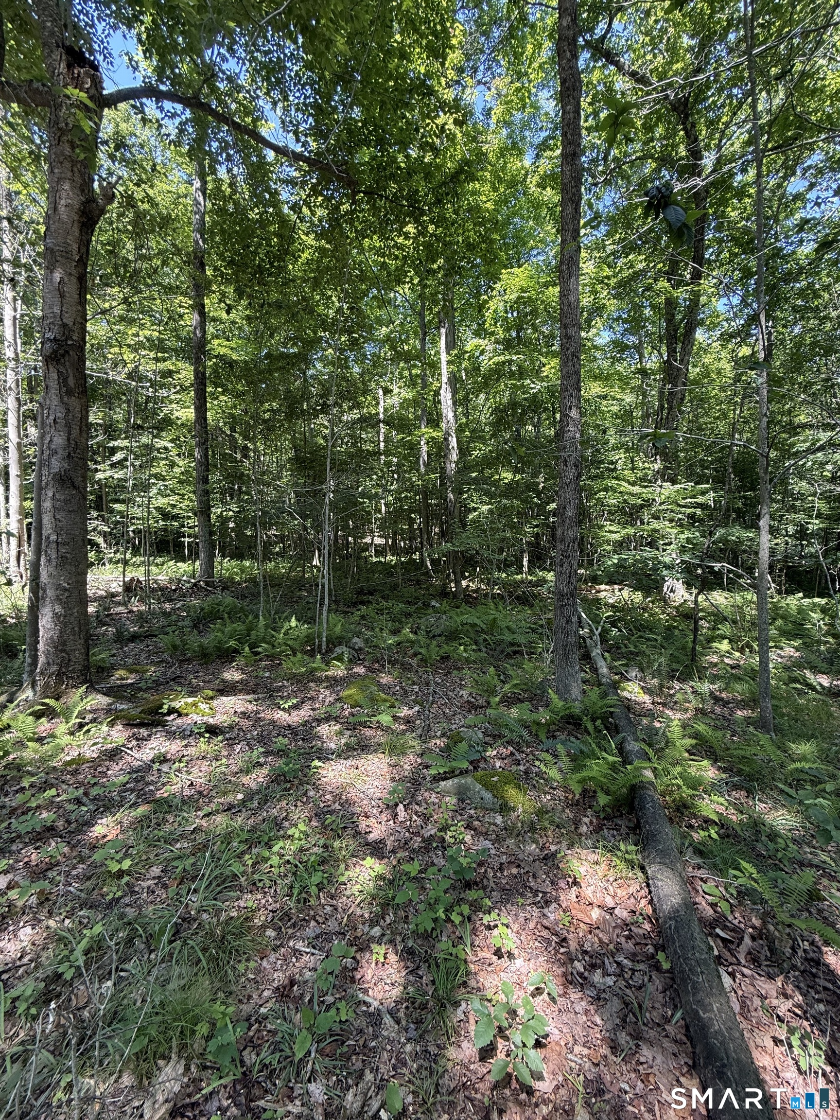 Bullymuck Road Property Photo 16