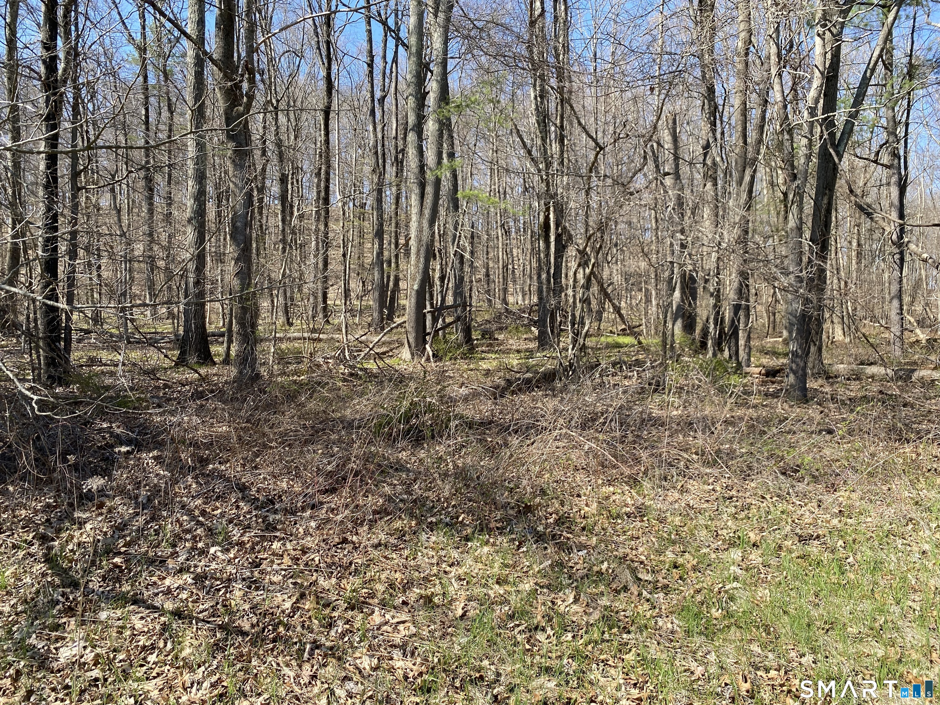 198-2 Beebe Hill Road Property Photo 8