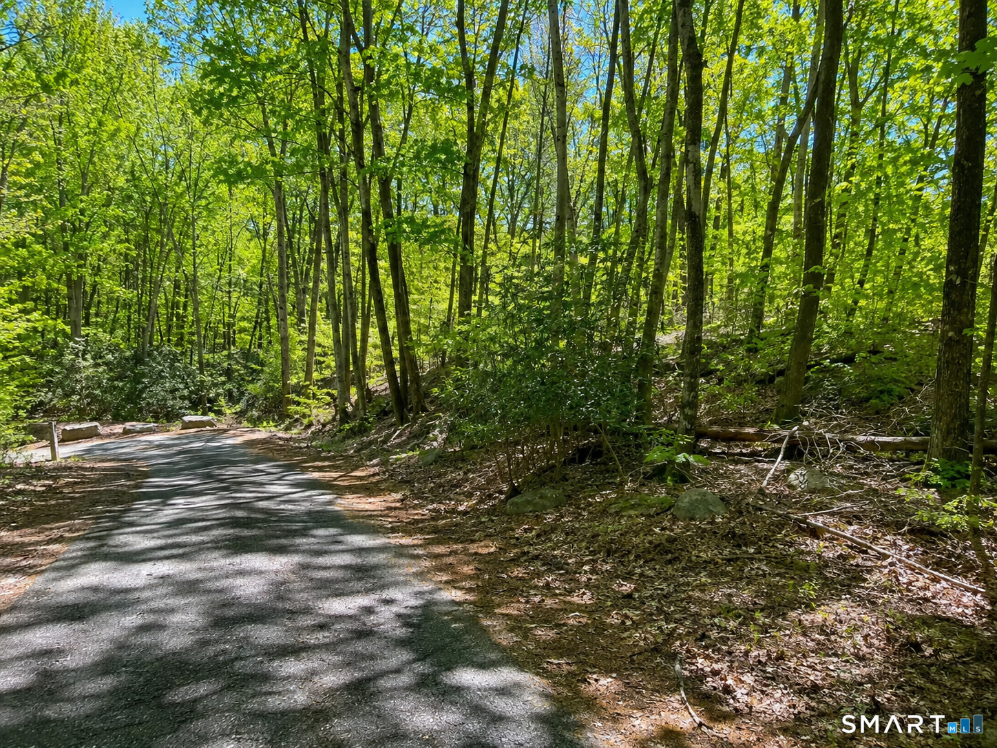 6 Red Fox Road Property Photo 5