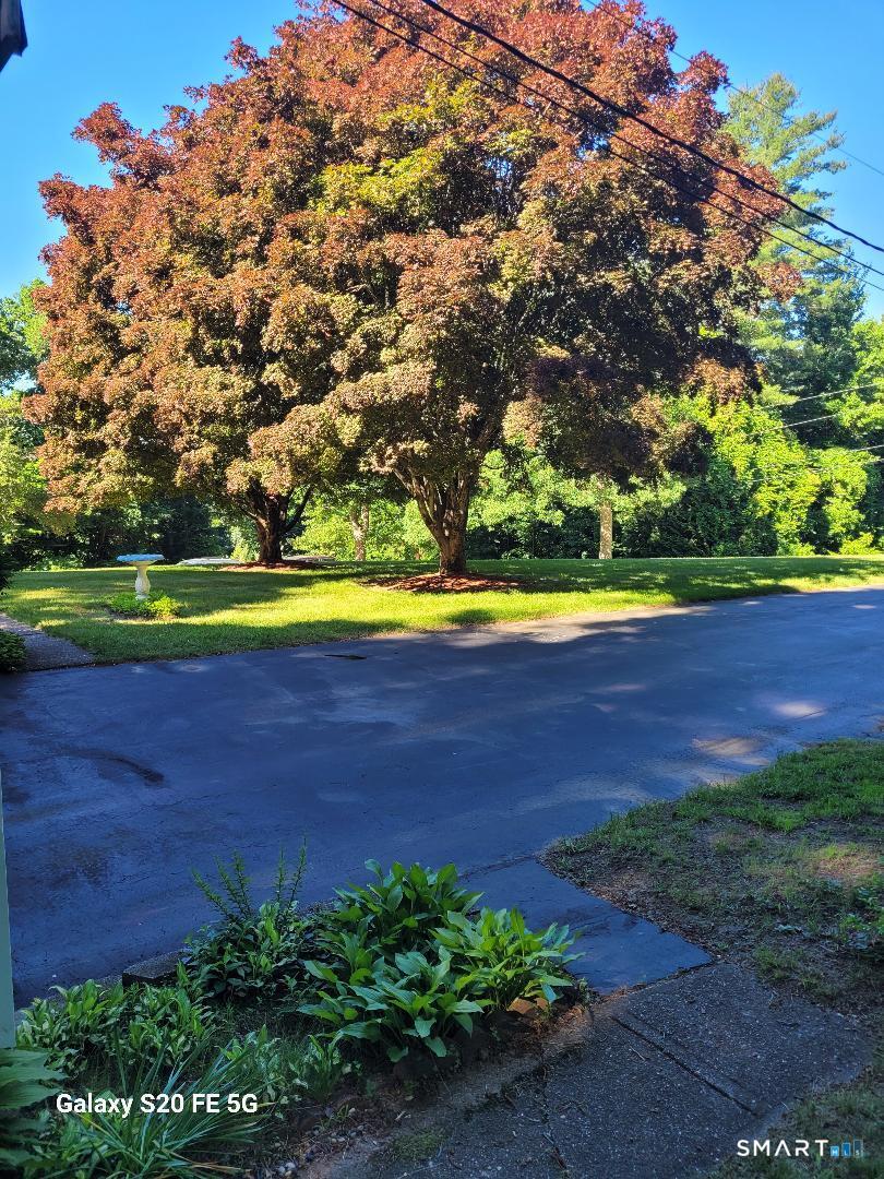 36 Park Road Property Photo 23