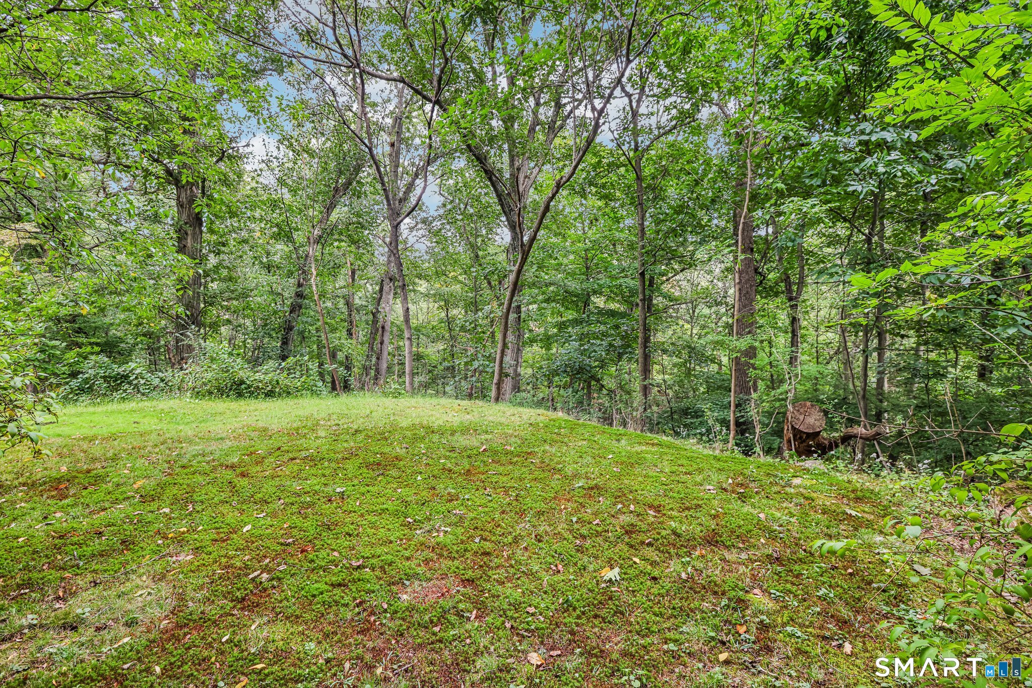 14 Chipping Lane Property Photo 33