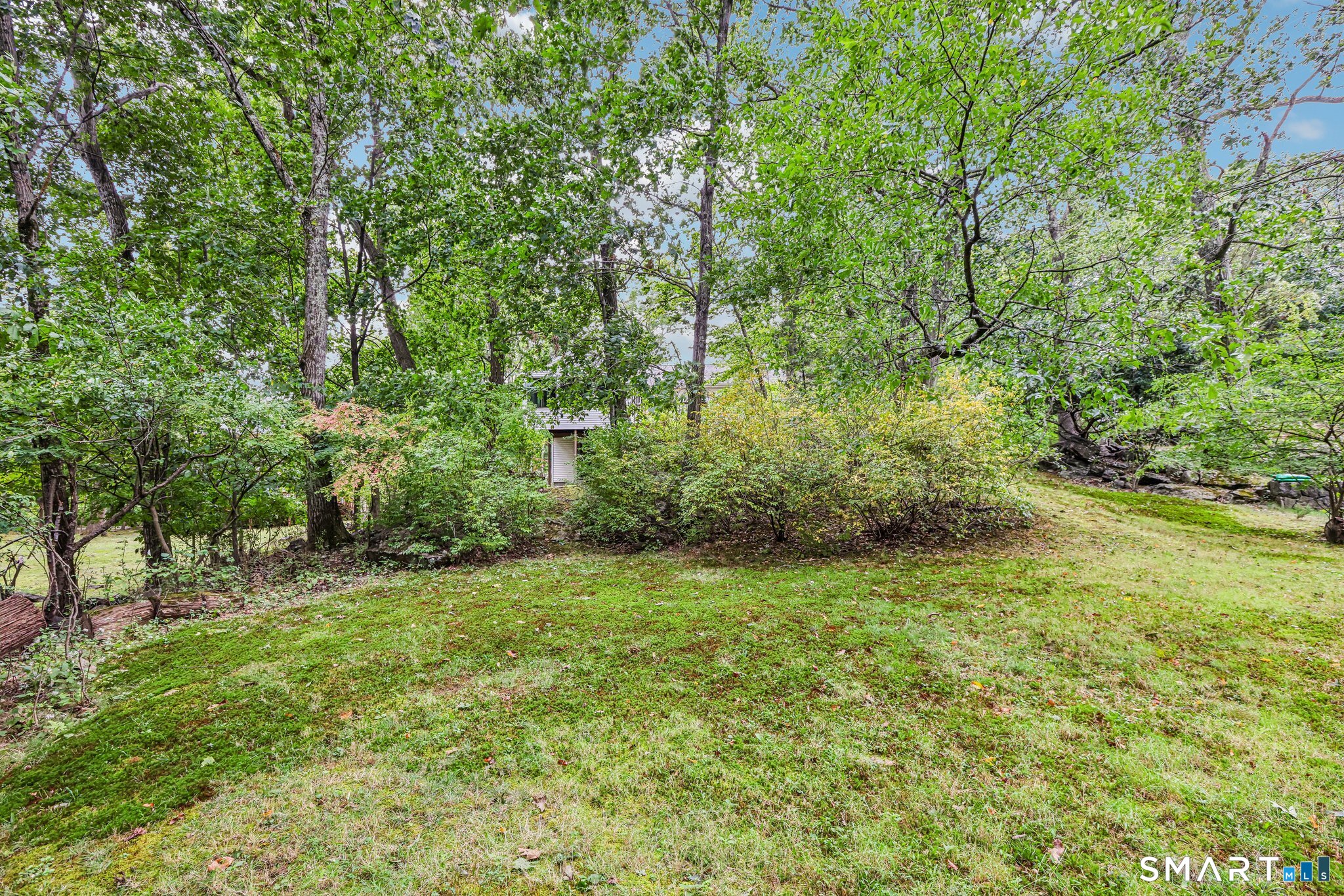 14 Chipping Lane Property Photo 34