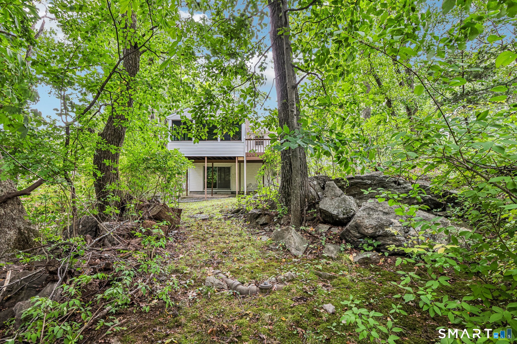 14 Chipping Lane Property Photo 36