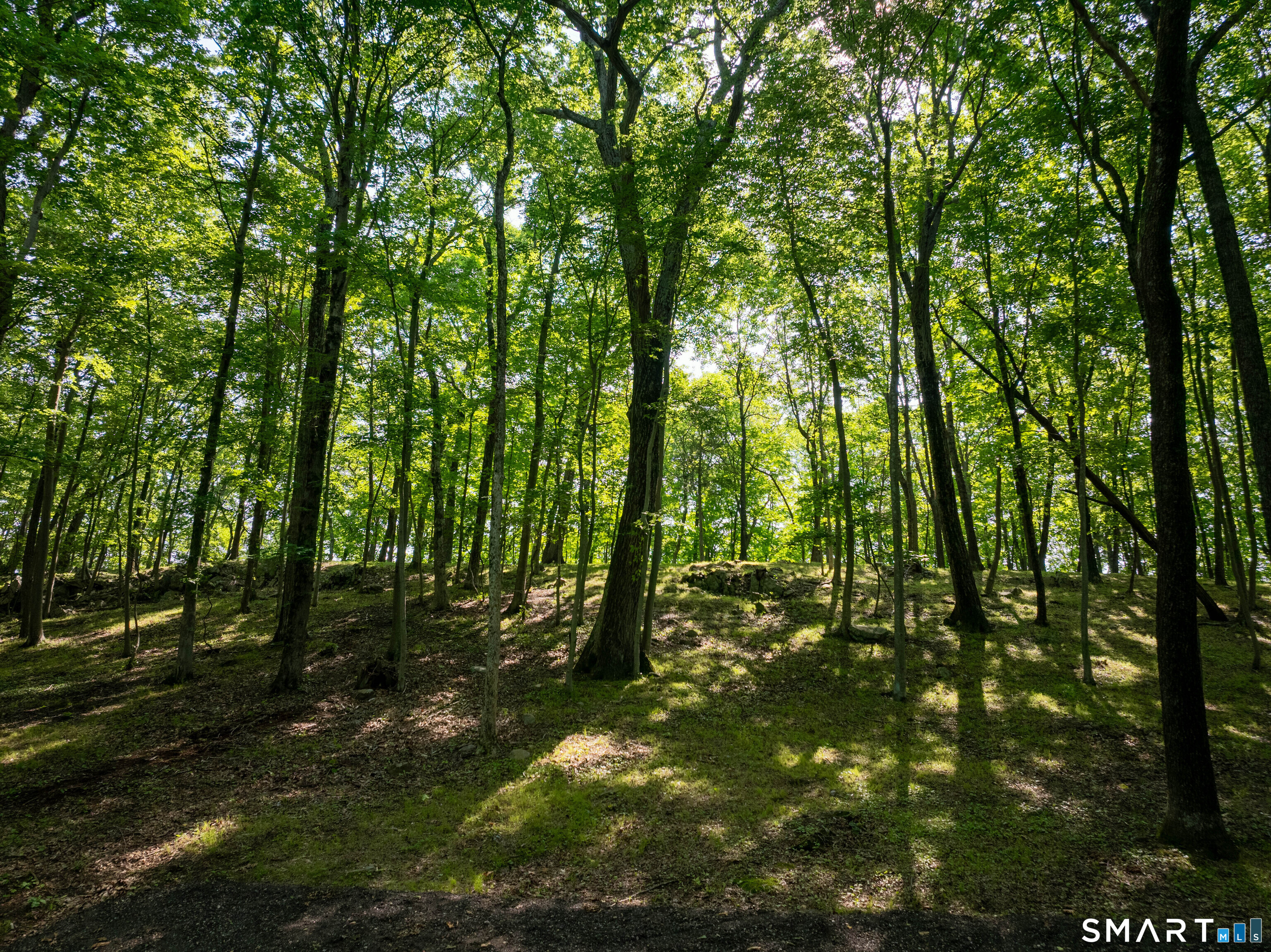 81 Mountain Road Property Photo 13