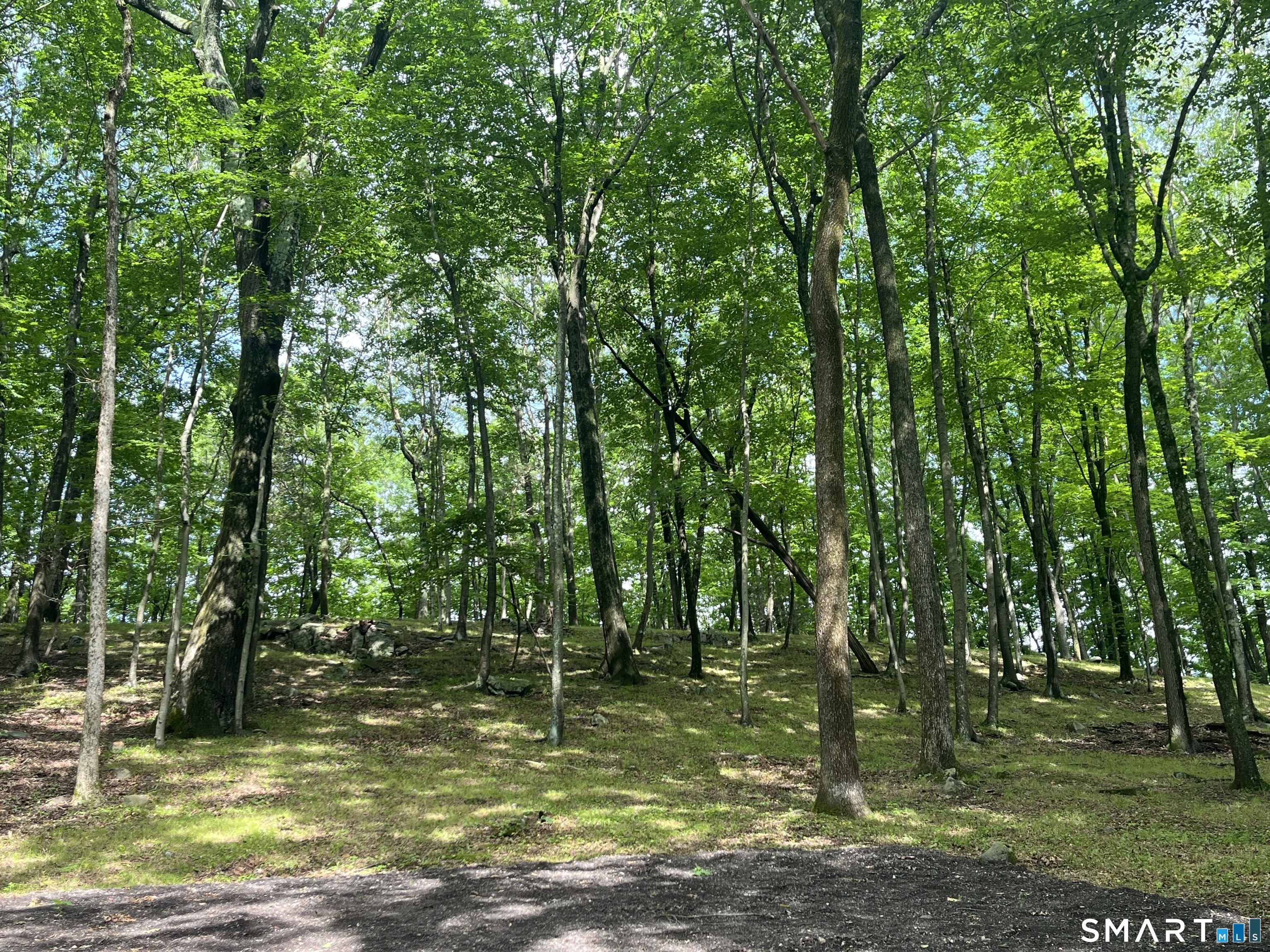 81 Mountain Road Property Photo 14