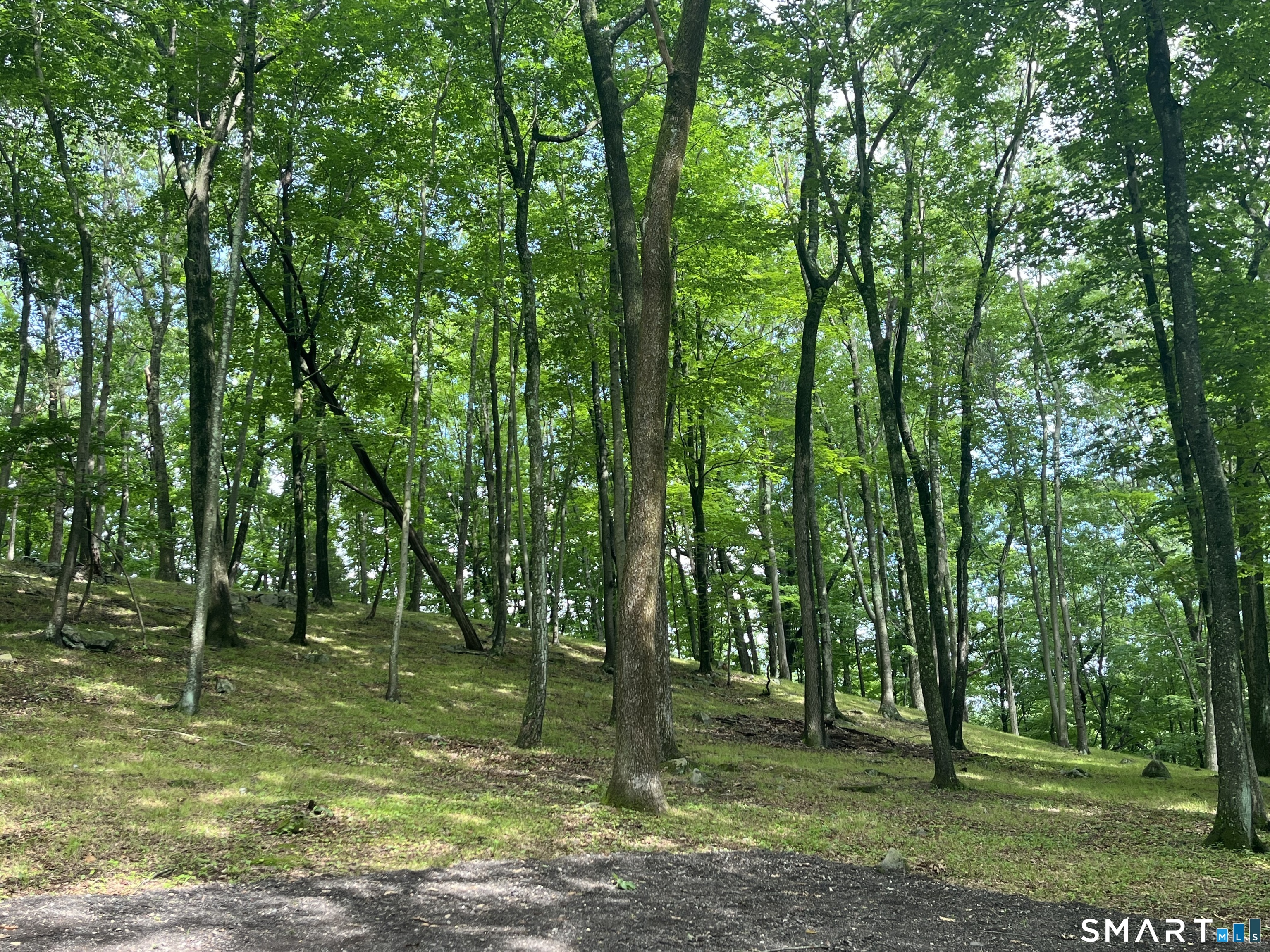 81 Mountain Road Property Photo 15