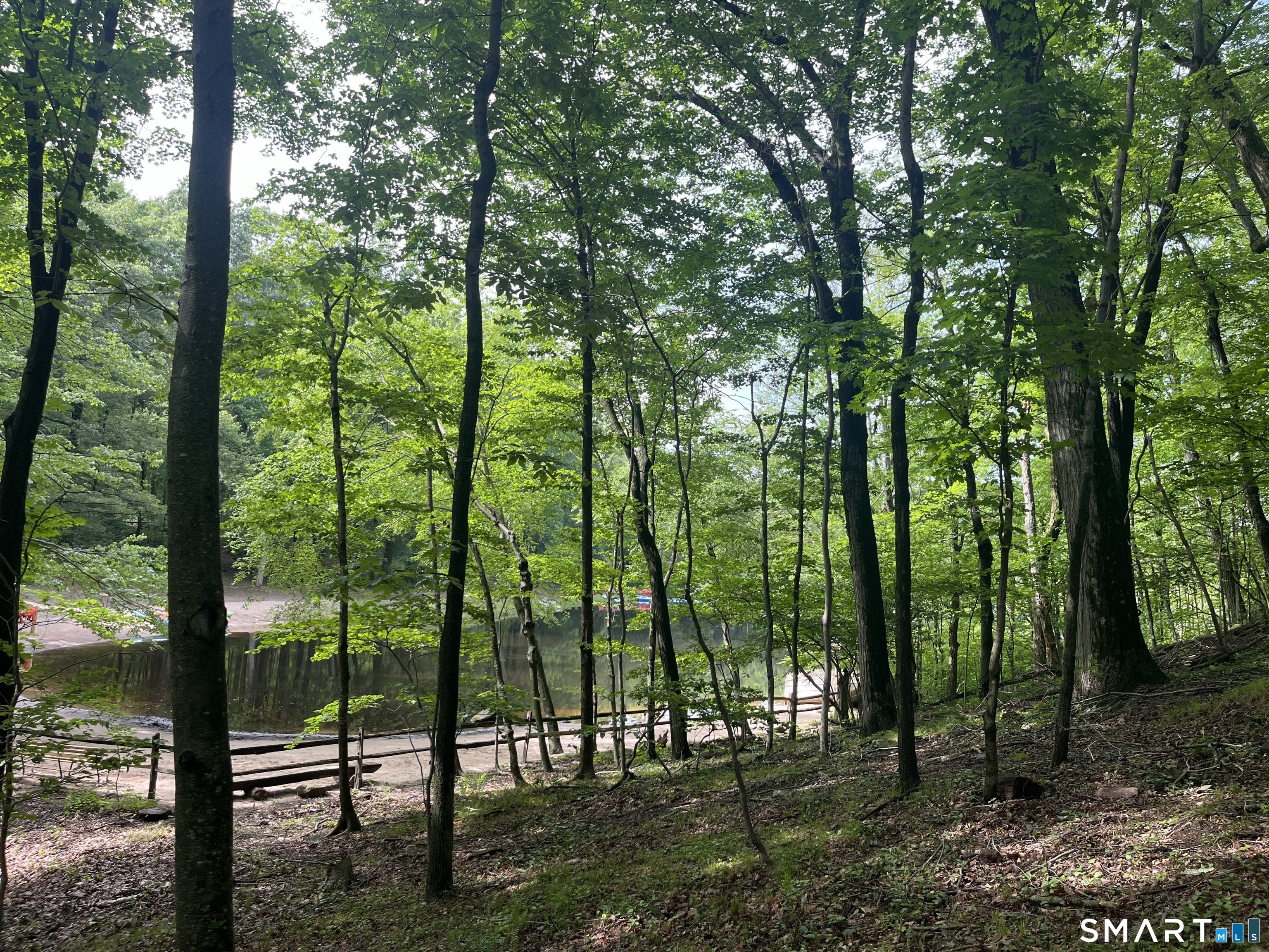 81 Mountain Road Property Photo 20