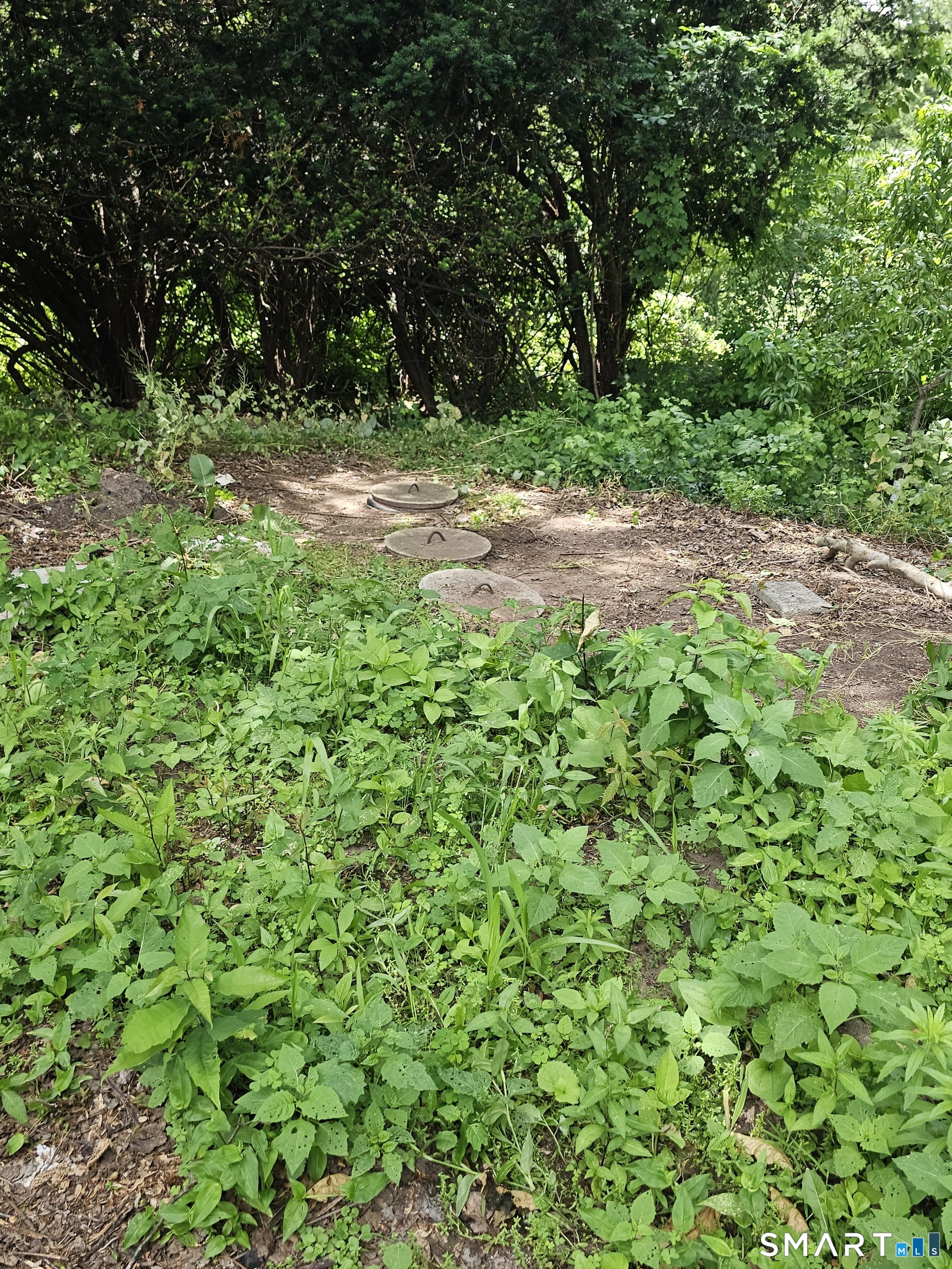 849 Wintergreen Avenue Property Photo 3