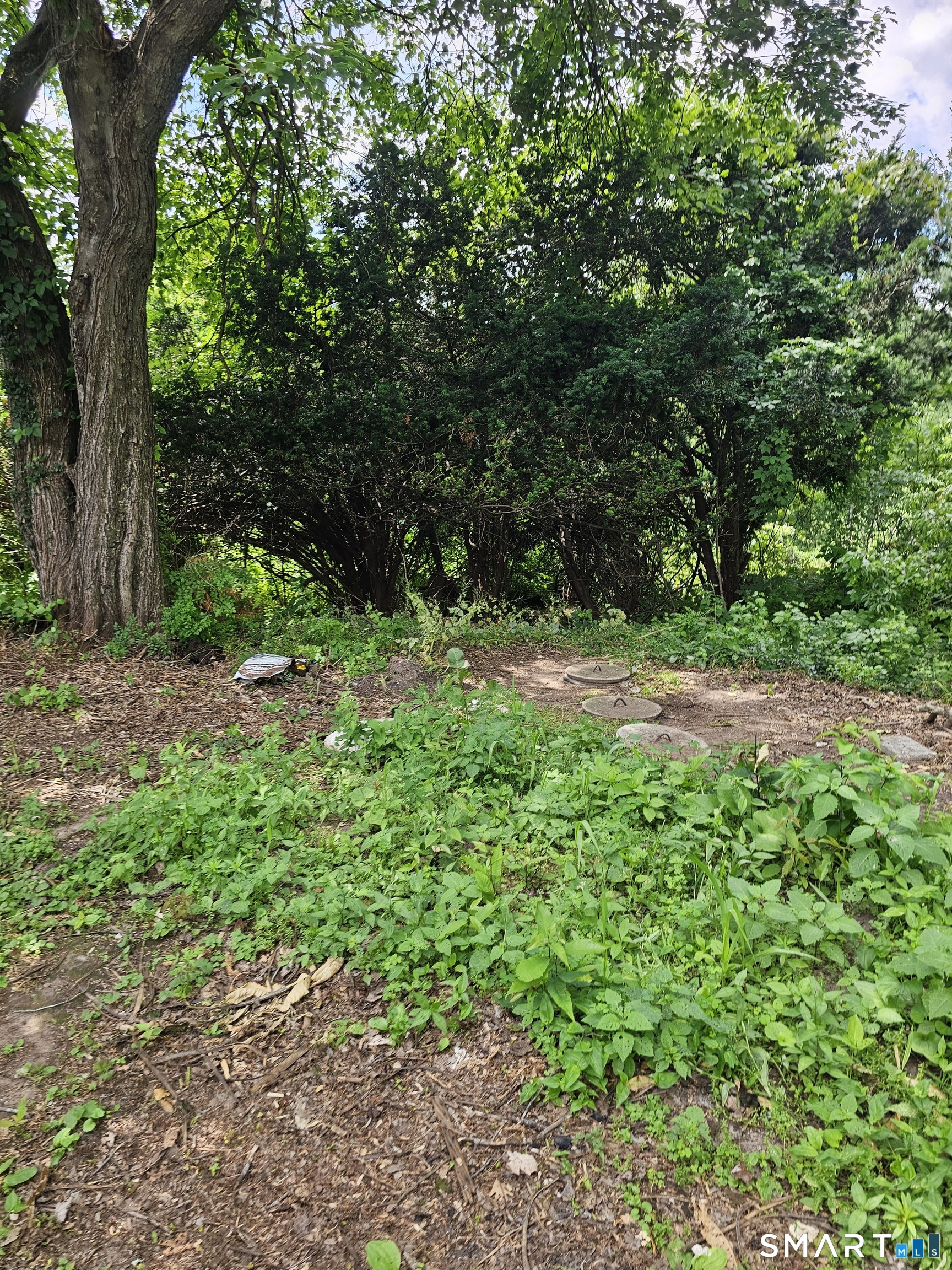 849 Wintergreen Avenue Property Photo 4