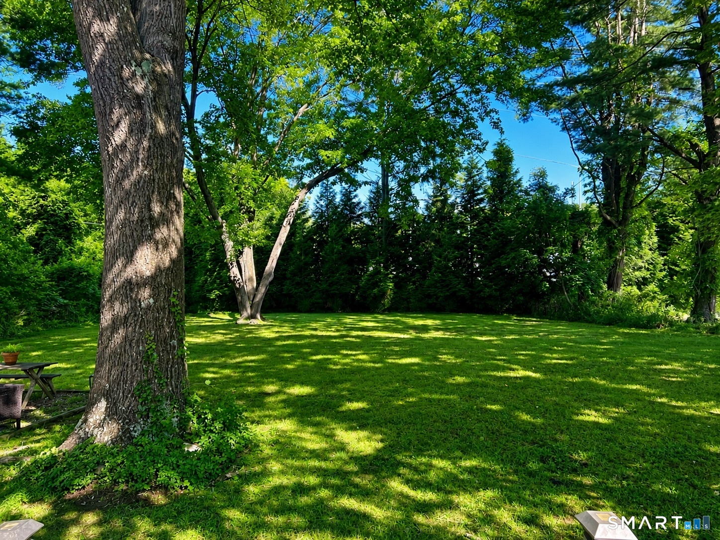 186 Schiller Road Property Photo 15