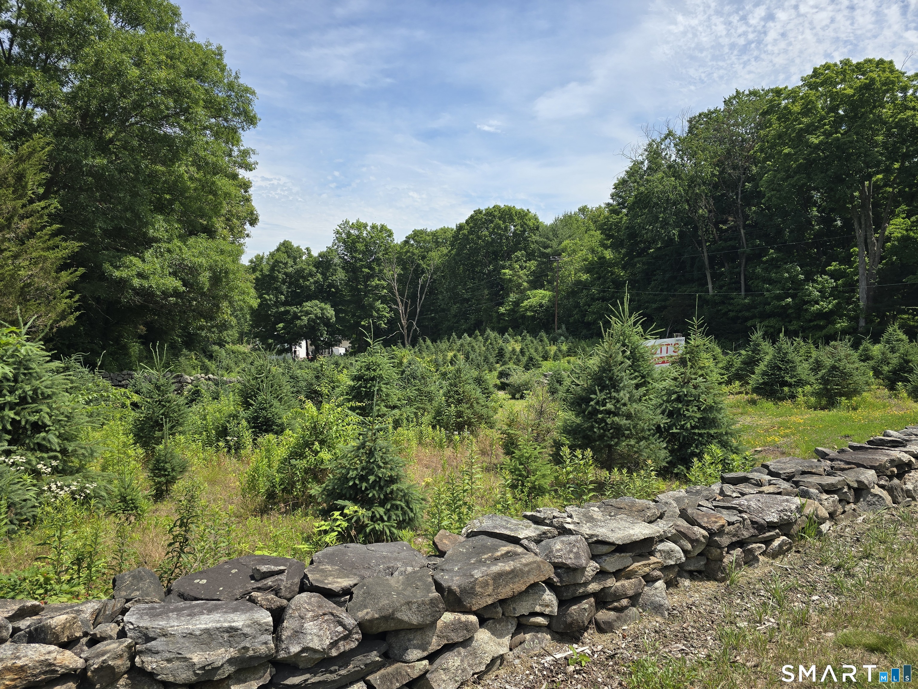 Route 6 Property Photo 4