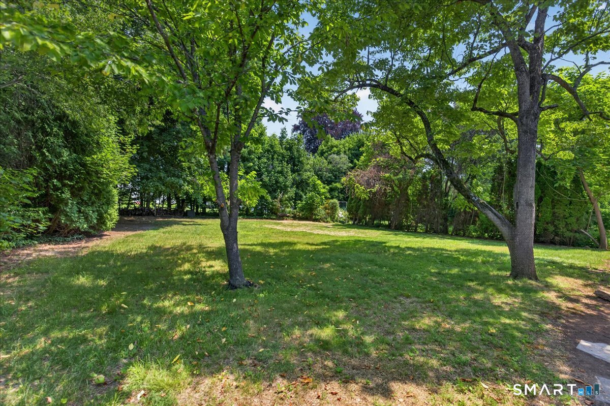 58 Myra Road Property Photo 33