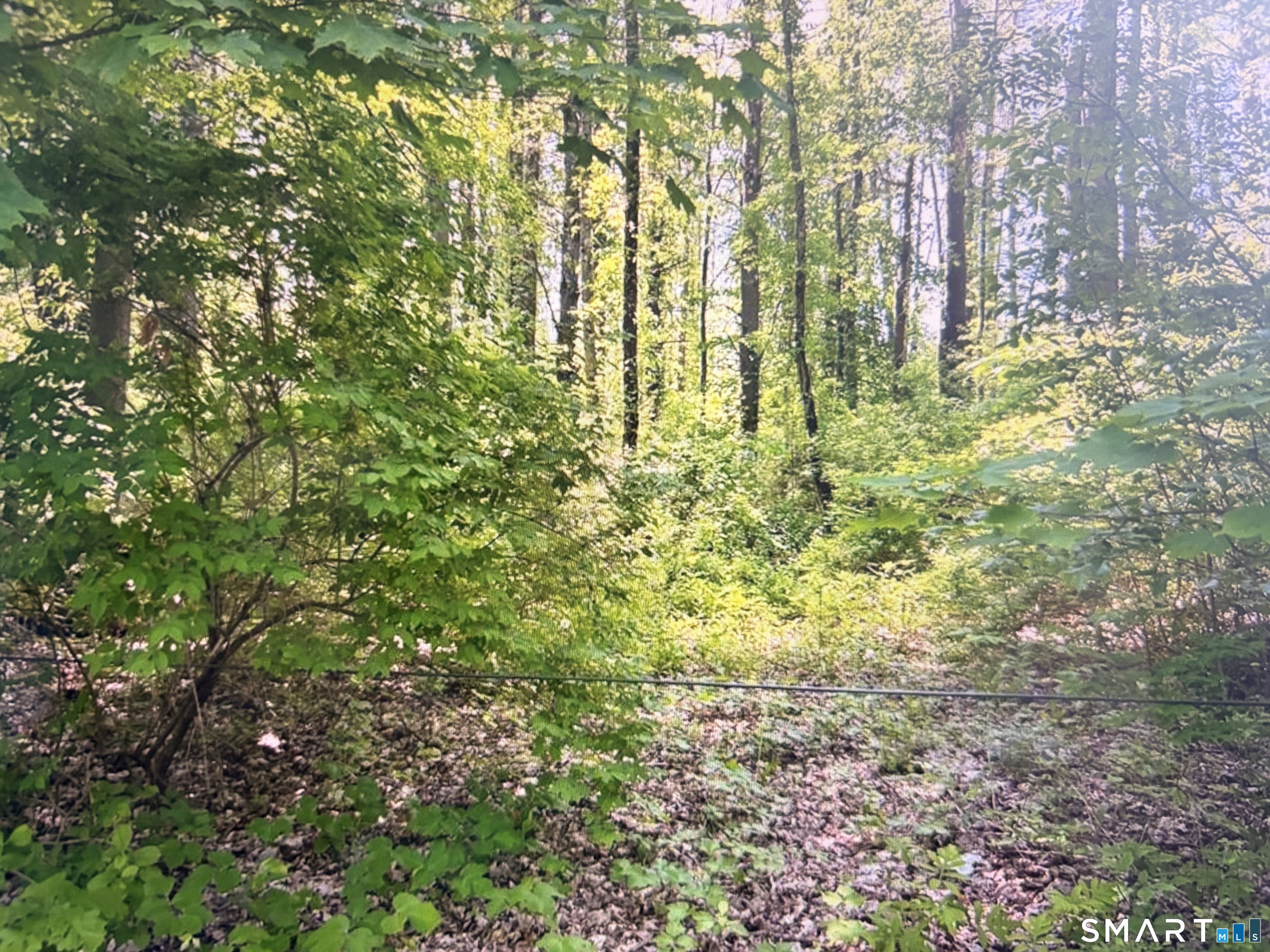 62 Route 126 Property Photo 1