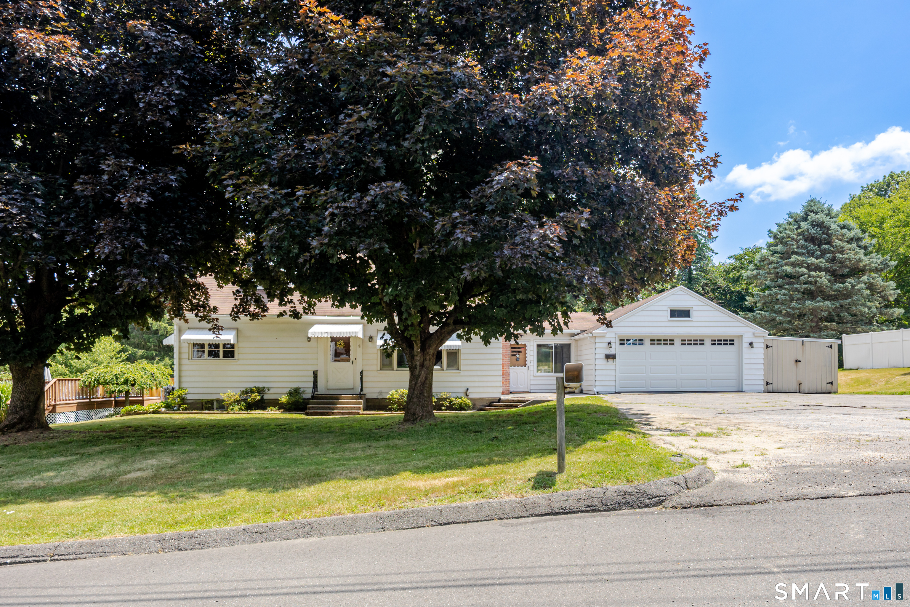 31 Holly Street Property Photo 1
