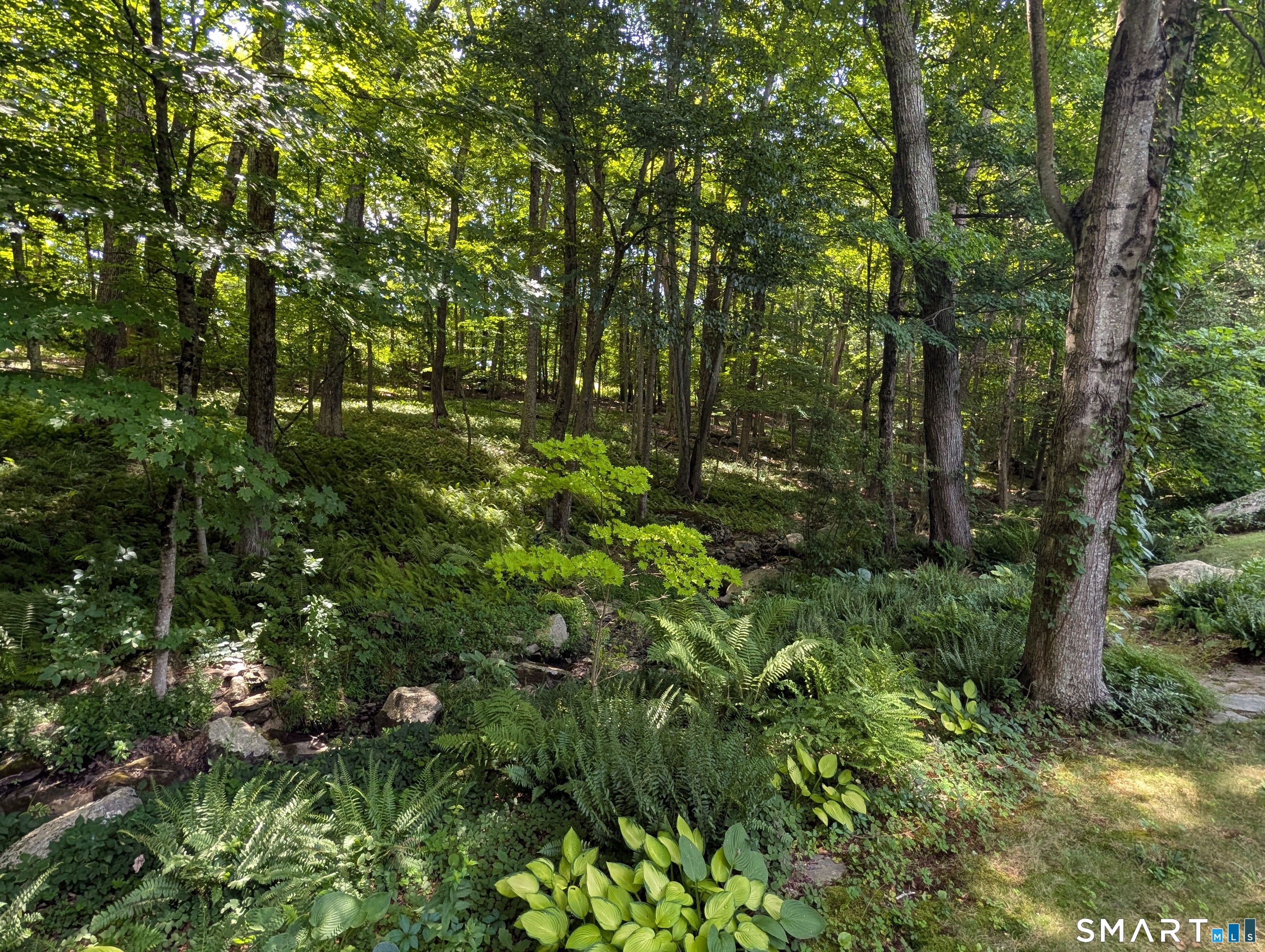 8 Sycamore A Drive Property Photo 7