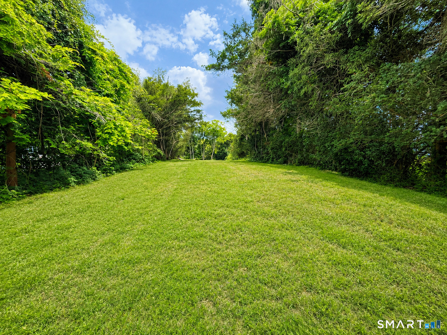 38 Charter Oak Avenue Property Photo 2