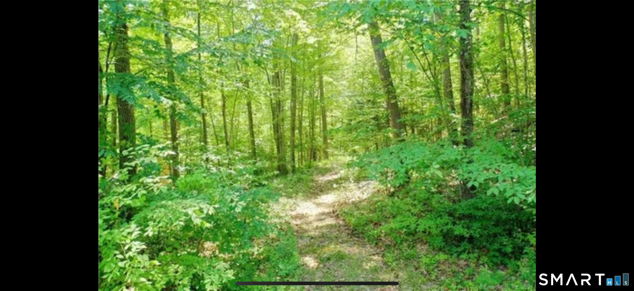 11 Old Stage Coach Road Property Photo 20