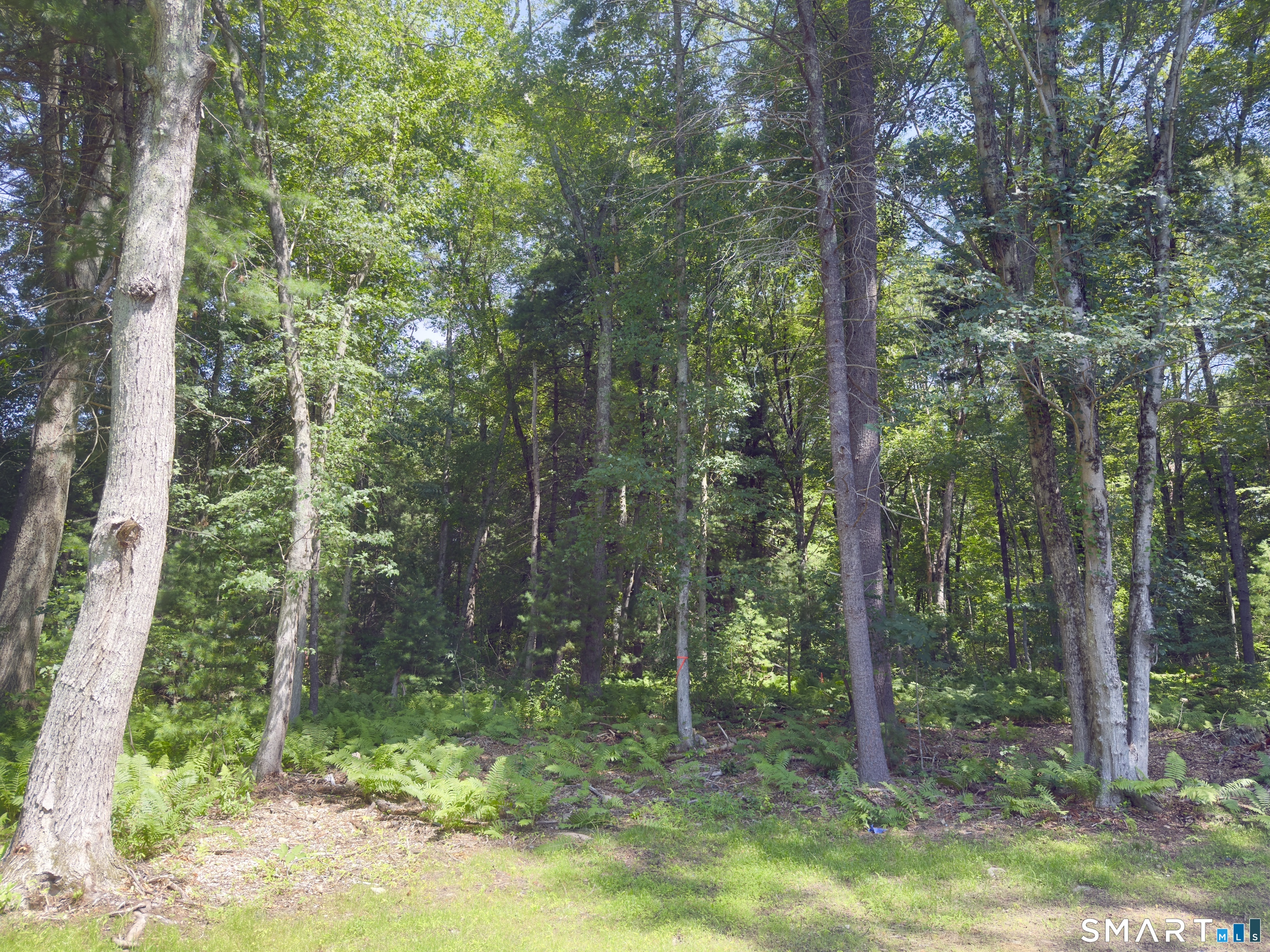 Collelo Avenue Property Photo 1