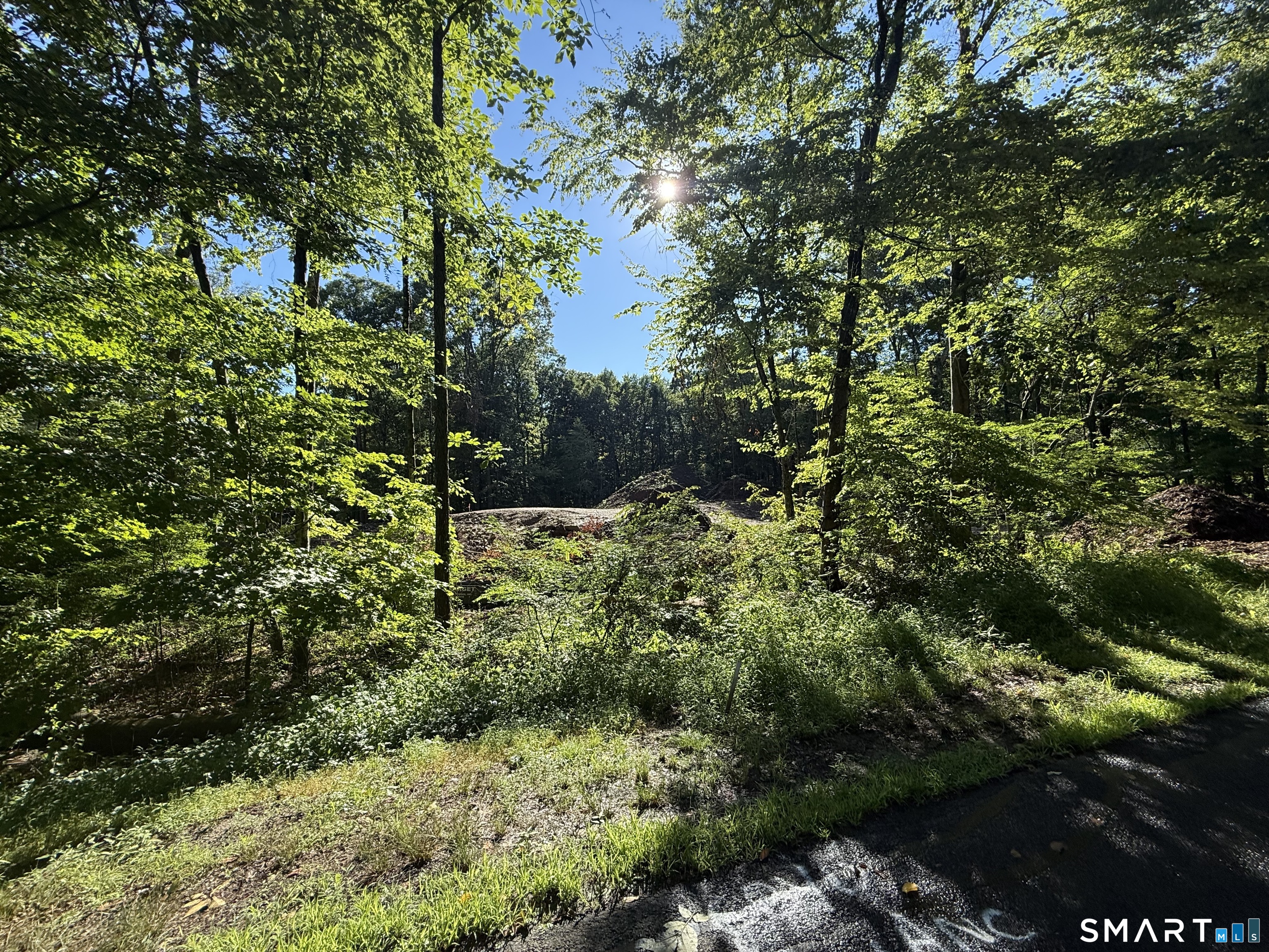 215 Old Woodbury Road Property Photo 7