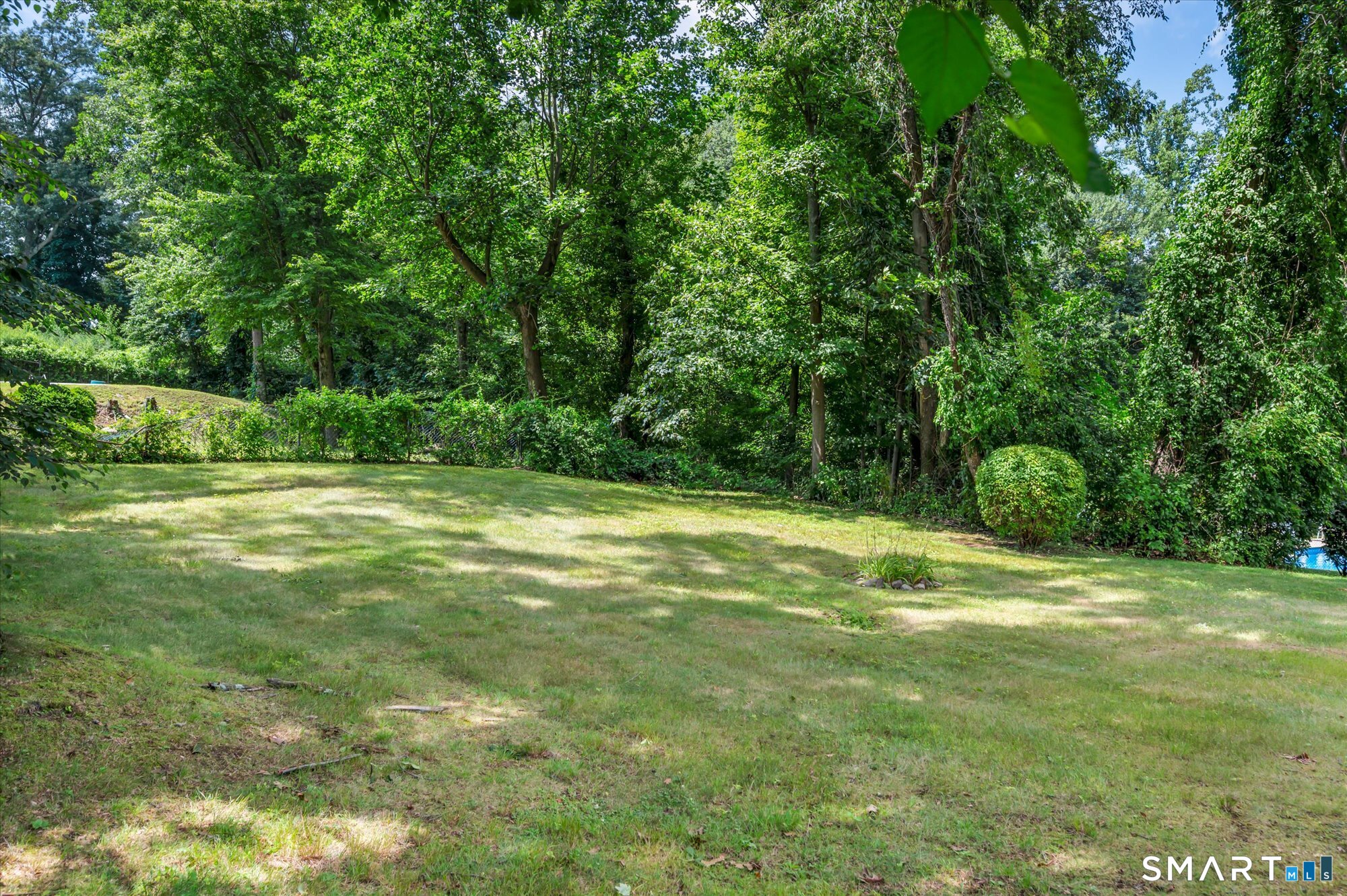 54 Exeter Road Property Photo 39