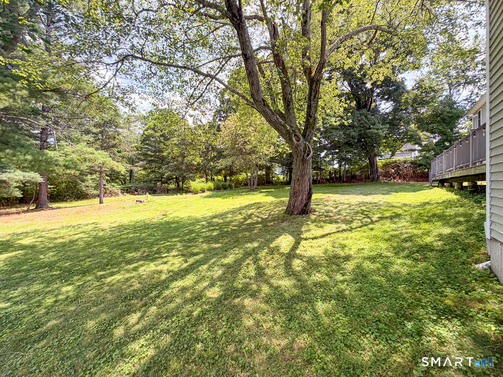 662 Coleman Road Property Photo 35