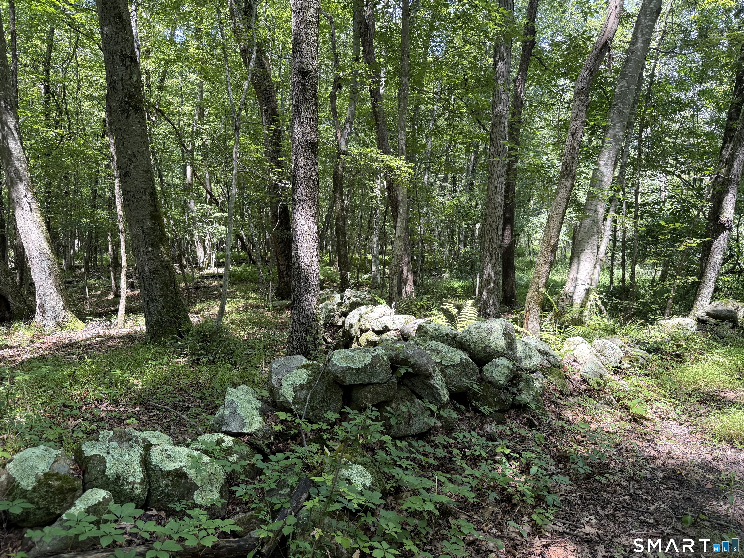 121 Walker Road Property Photo 1